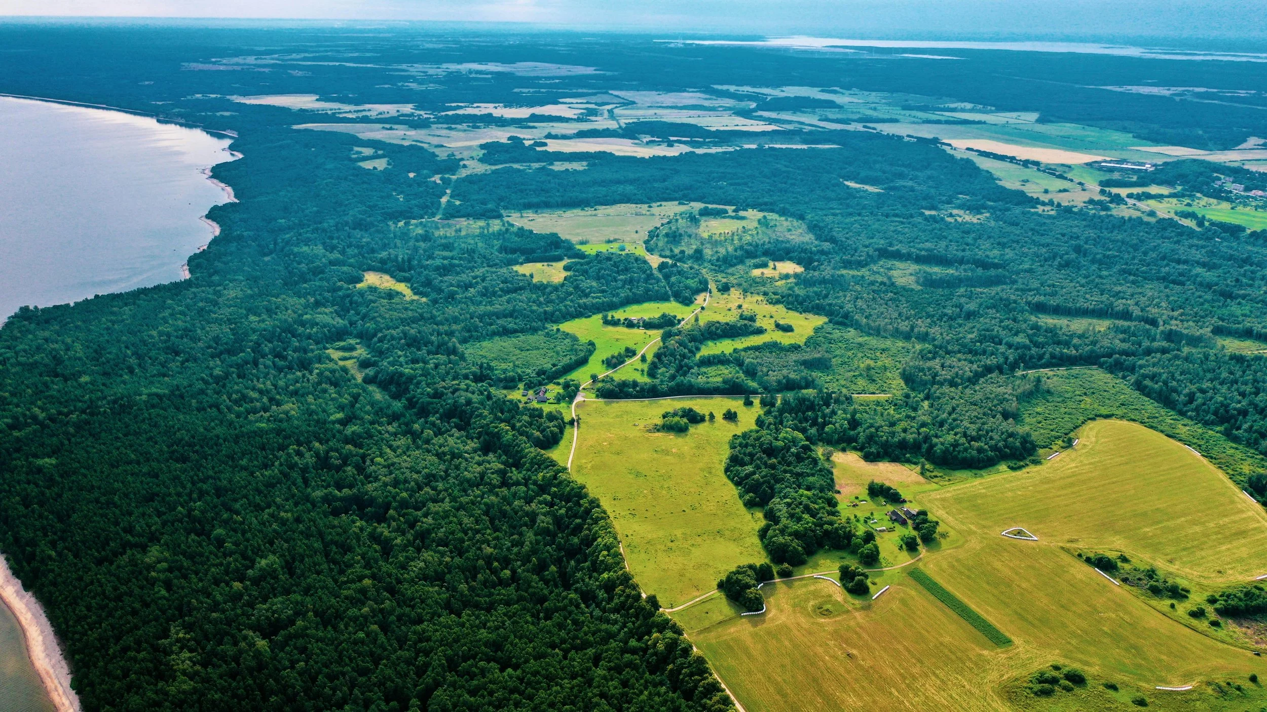 green field and water body landscape