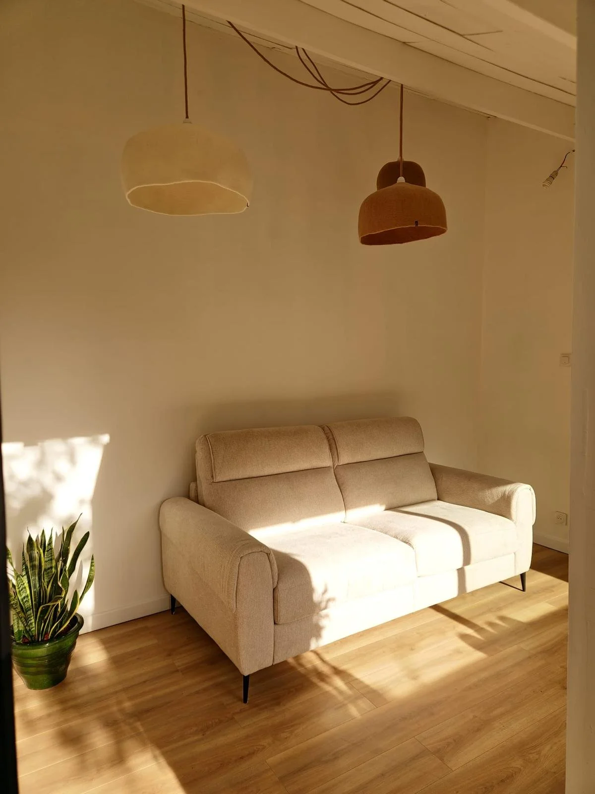 PHOTO-2026-01-28-16-49-40 3.jpg