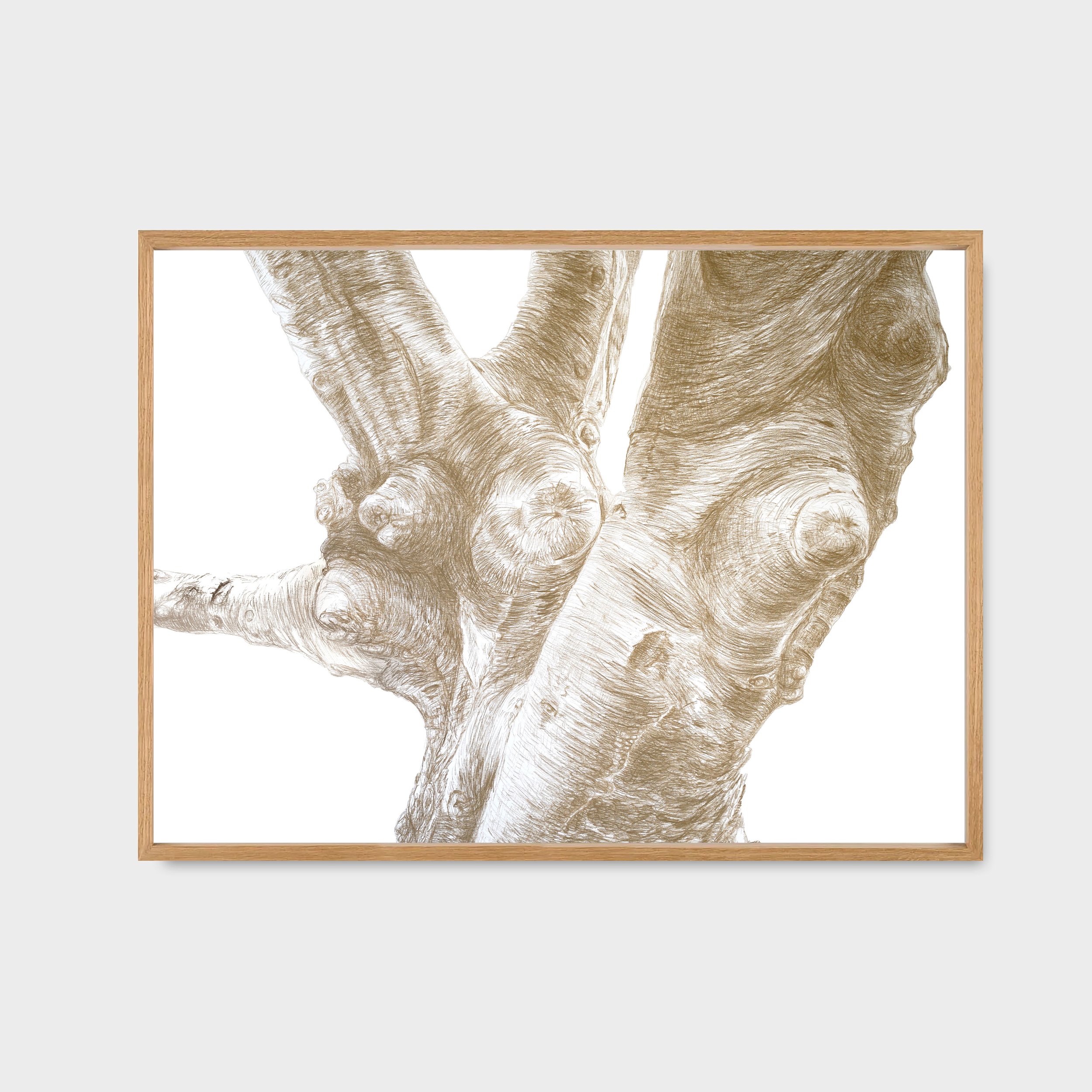 print_1a.jpg
