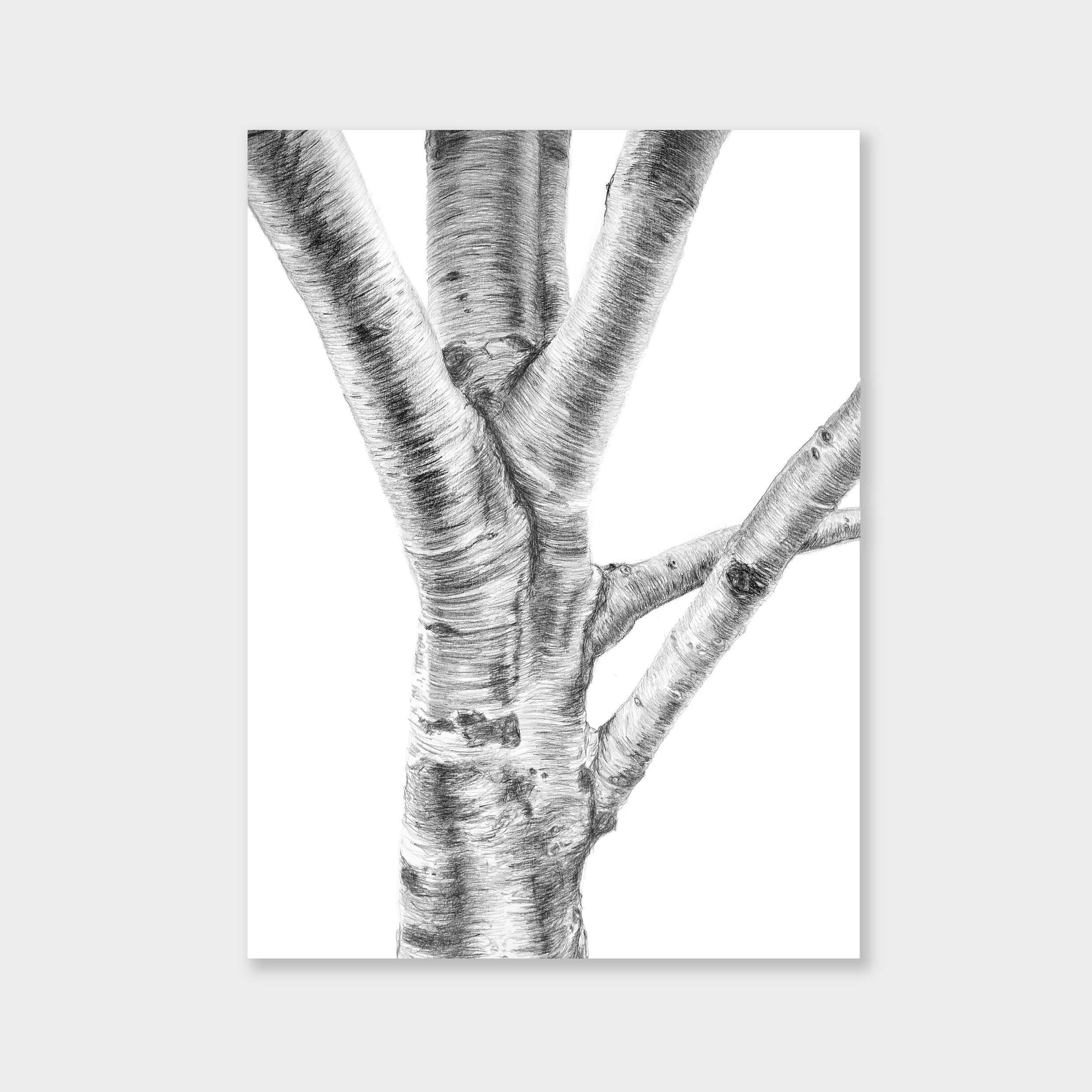 print_3b.jpg
