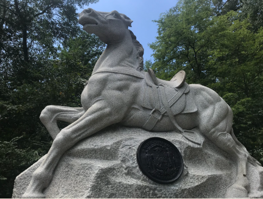 For The Love of Horses and History