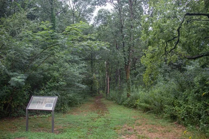 Moccasin Bend Noontime Hike