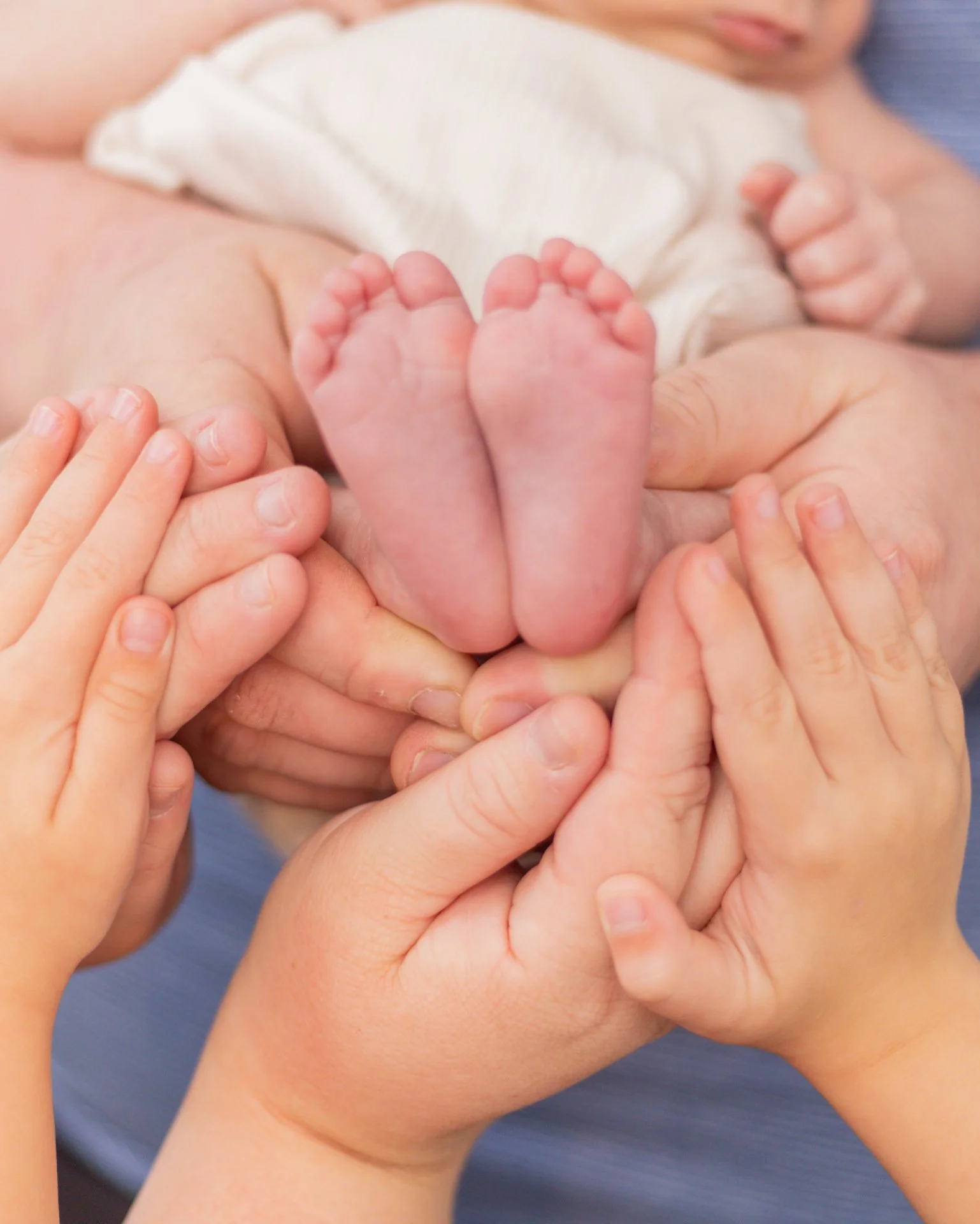 Newborn Portraits