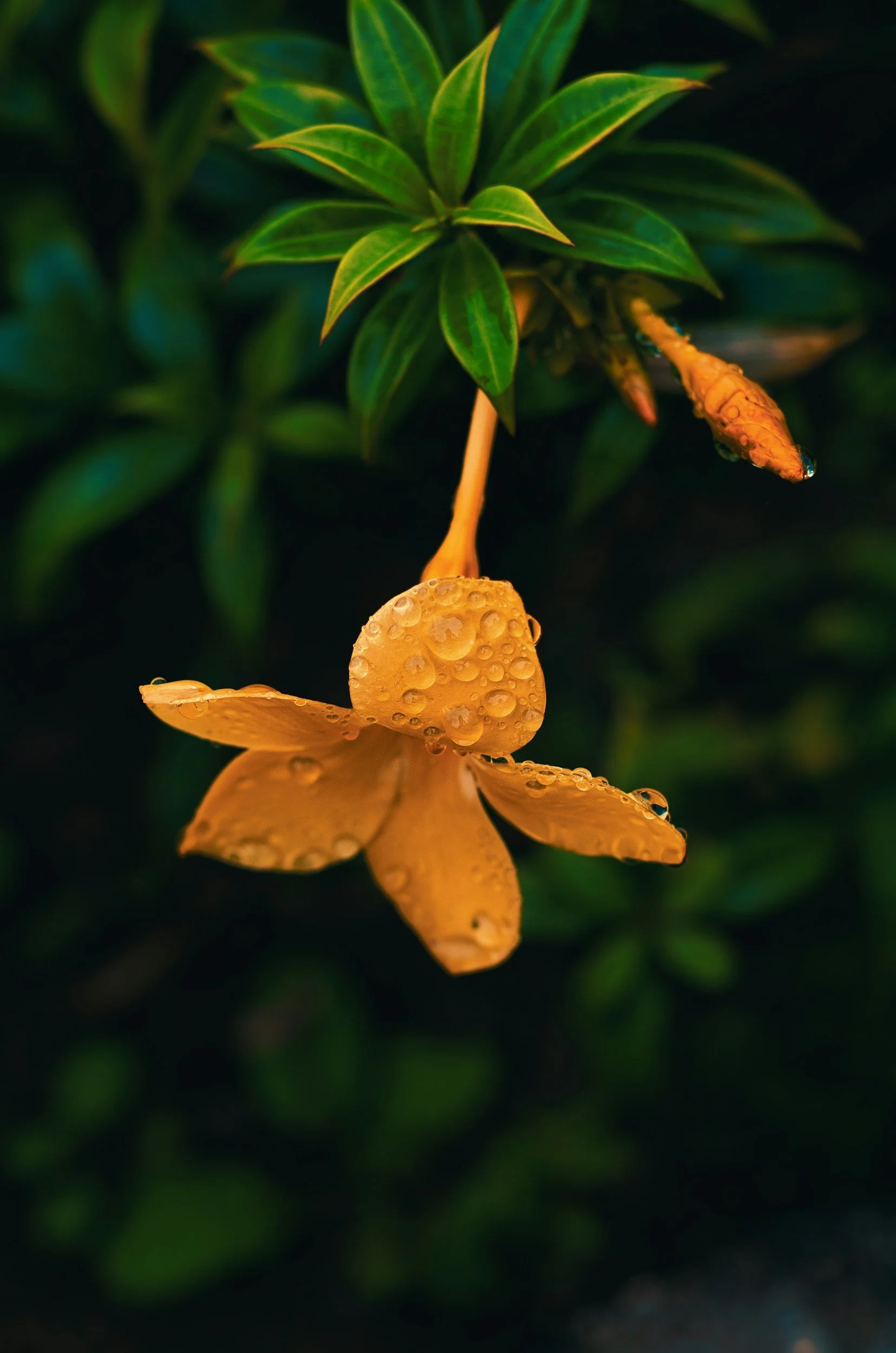 unsplash-image-styapOGffn8.jpg