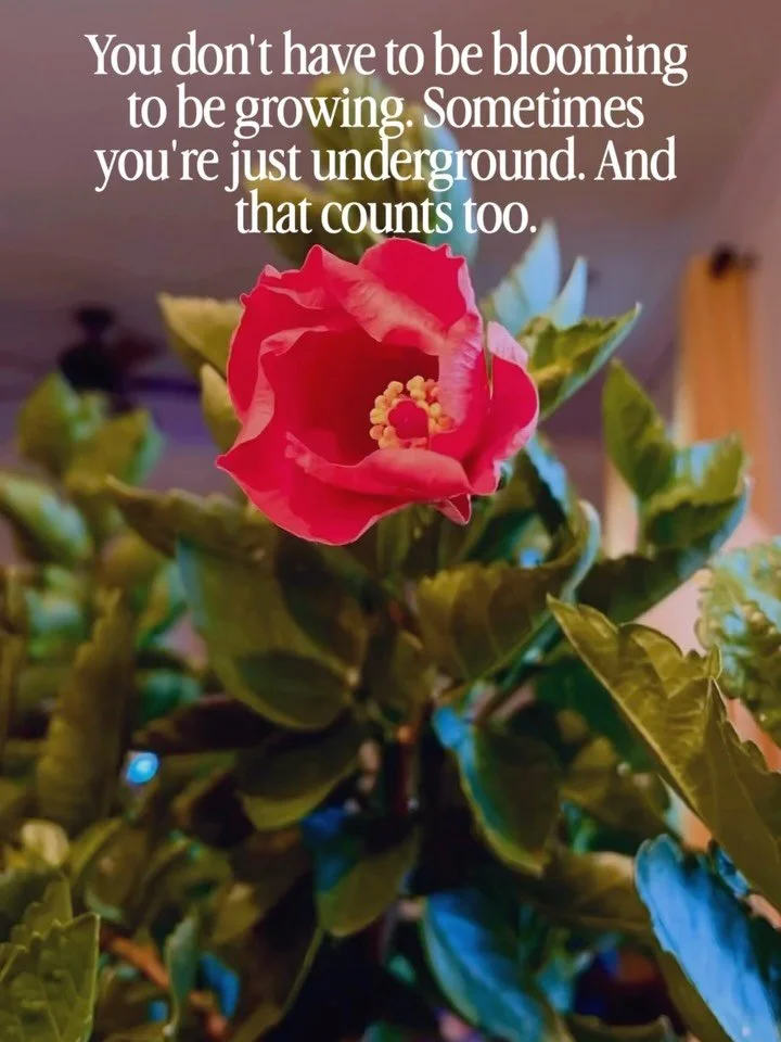 A reminder for whatever season you&rsquo;re in right now.
Not every season is meant to be visible. 

Some are meant to be spent underground&hellip;building root systems nobody can see yet, integrating what the last growth spurt actually cost you, get