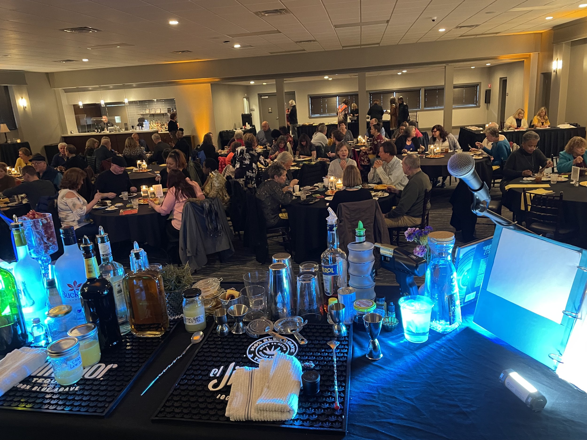 Interactive-Dinner-Theater-Musical-Cocktail-Tutorial-Rocktails-Queen-City-Cabaret-Arts-Connect