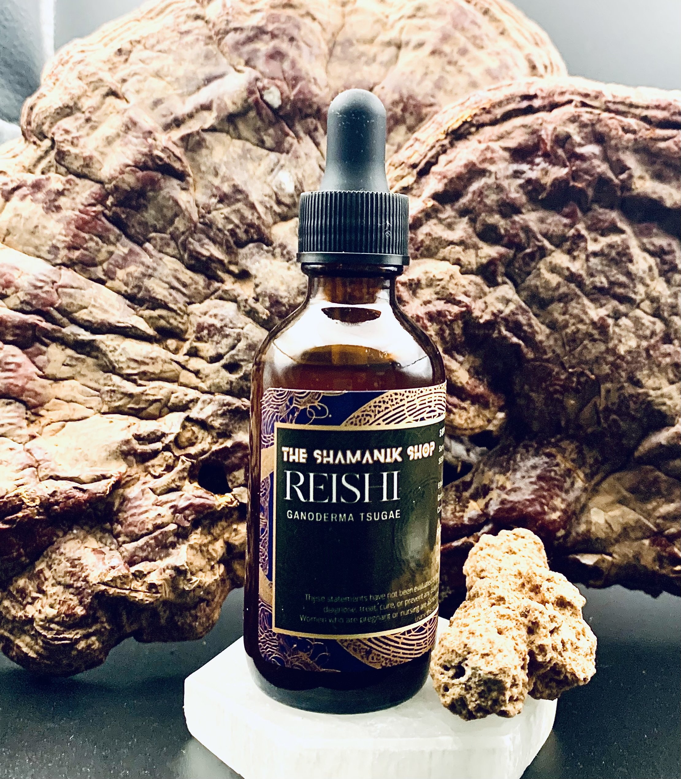 reishi 2.jpg