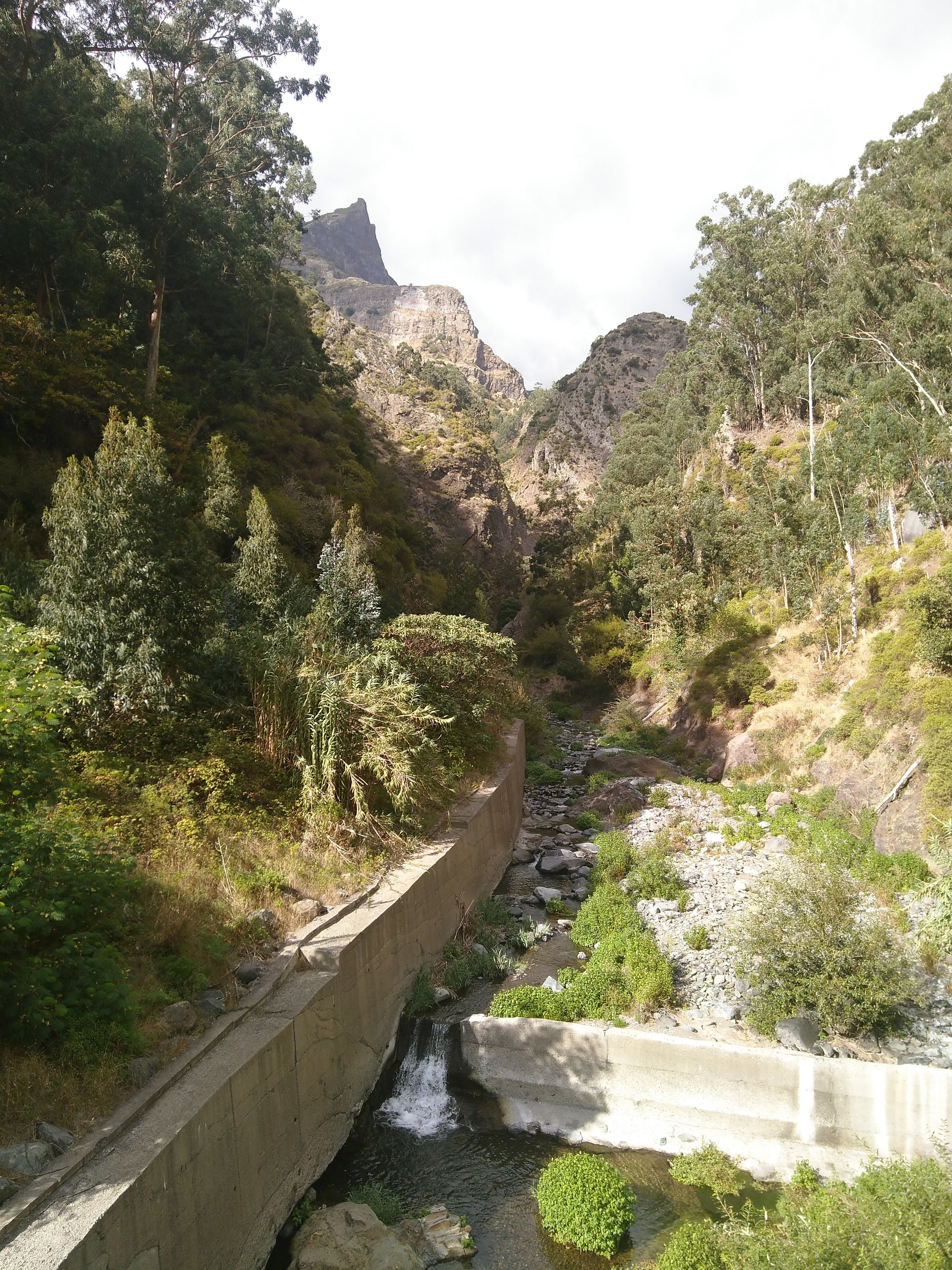 Levada, randonnée, voyage slow et écoresponsable Madère