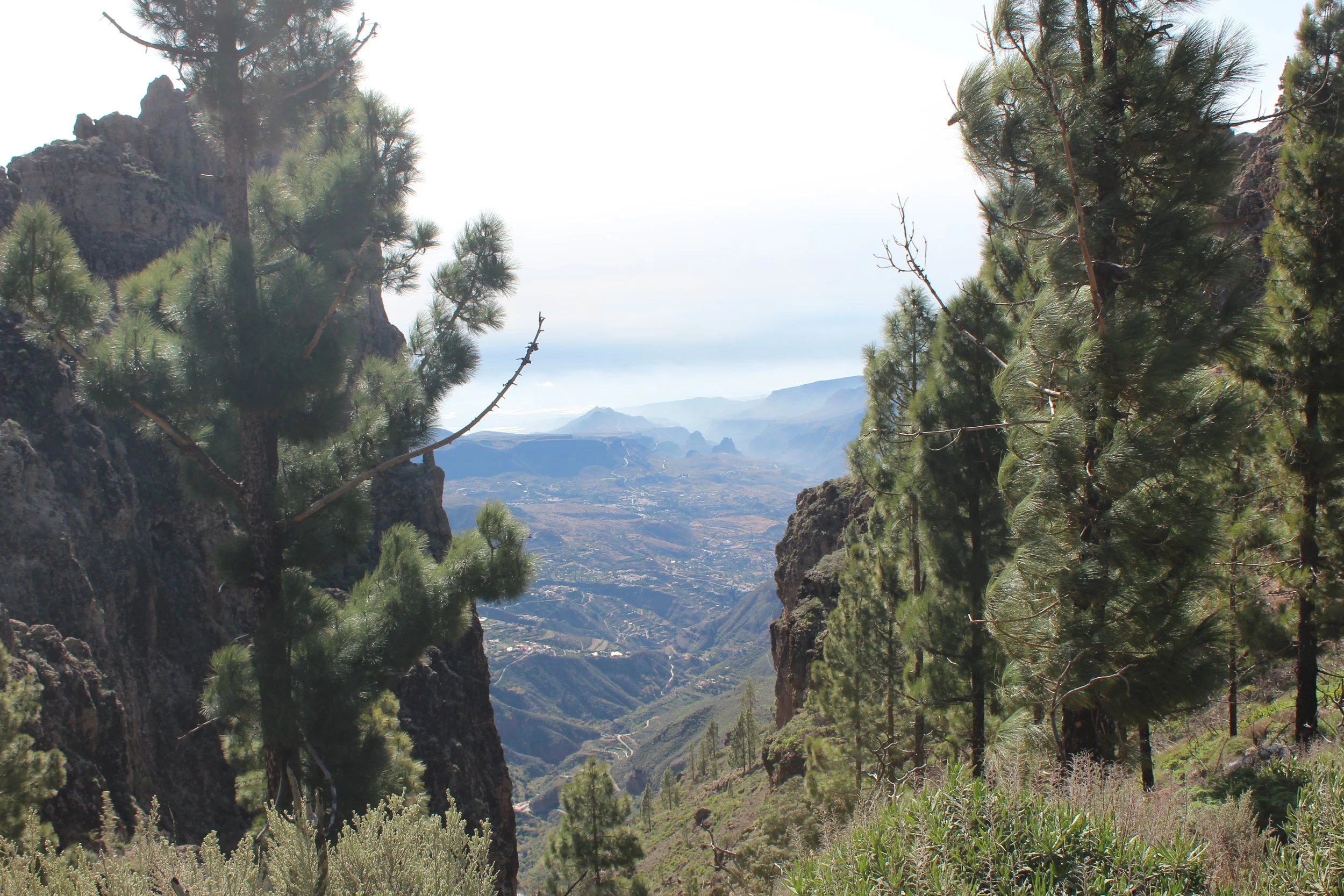Vue sur Gran Canaria.JPG