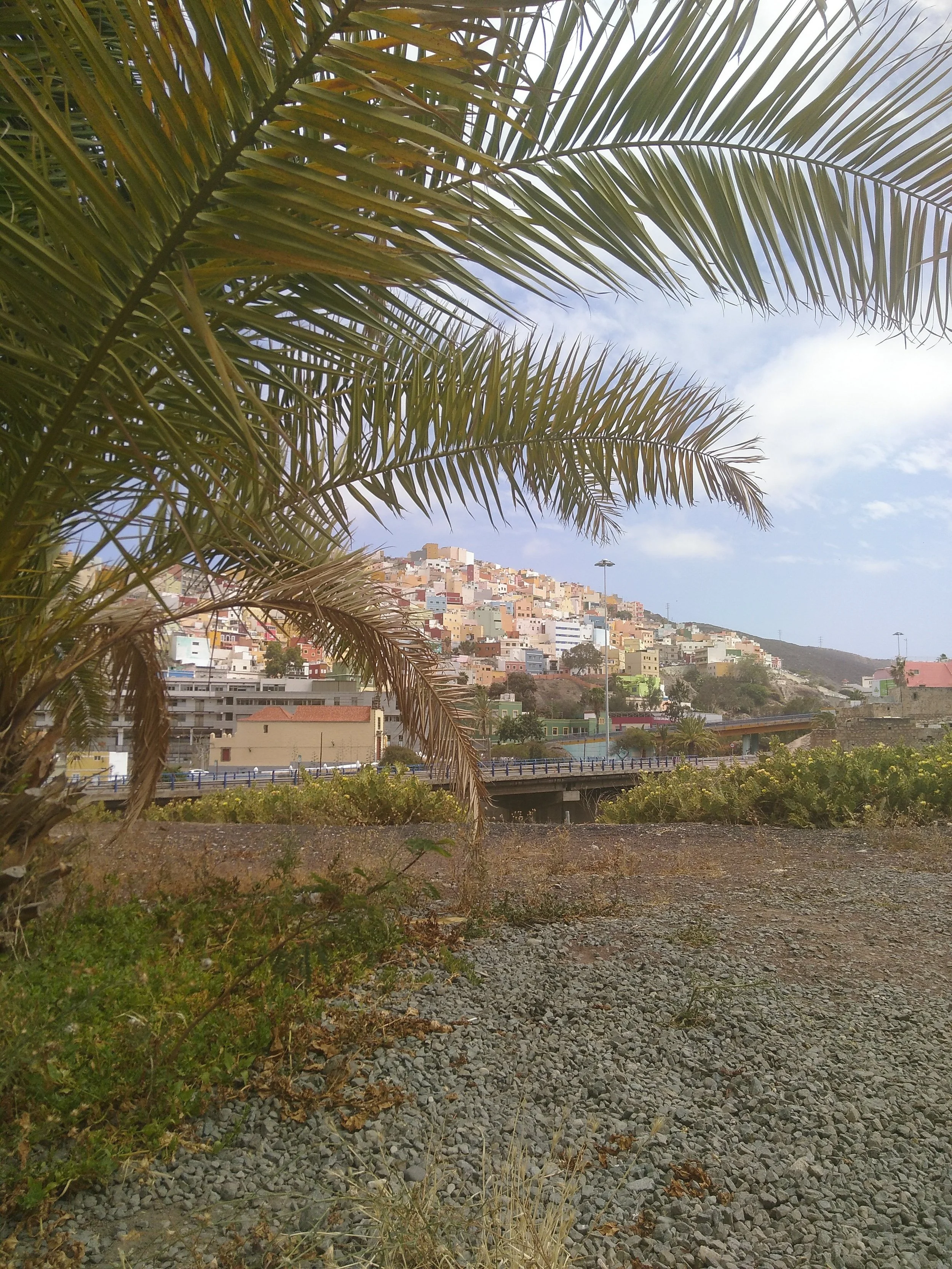 FOnd las palmas.jpg