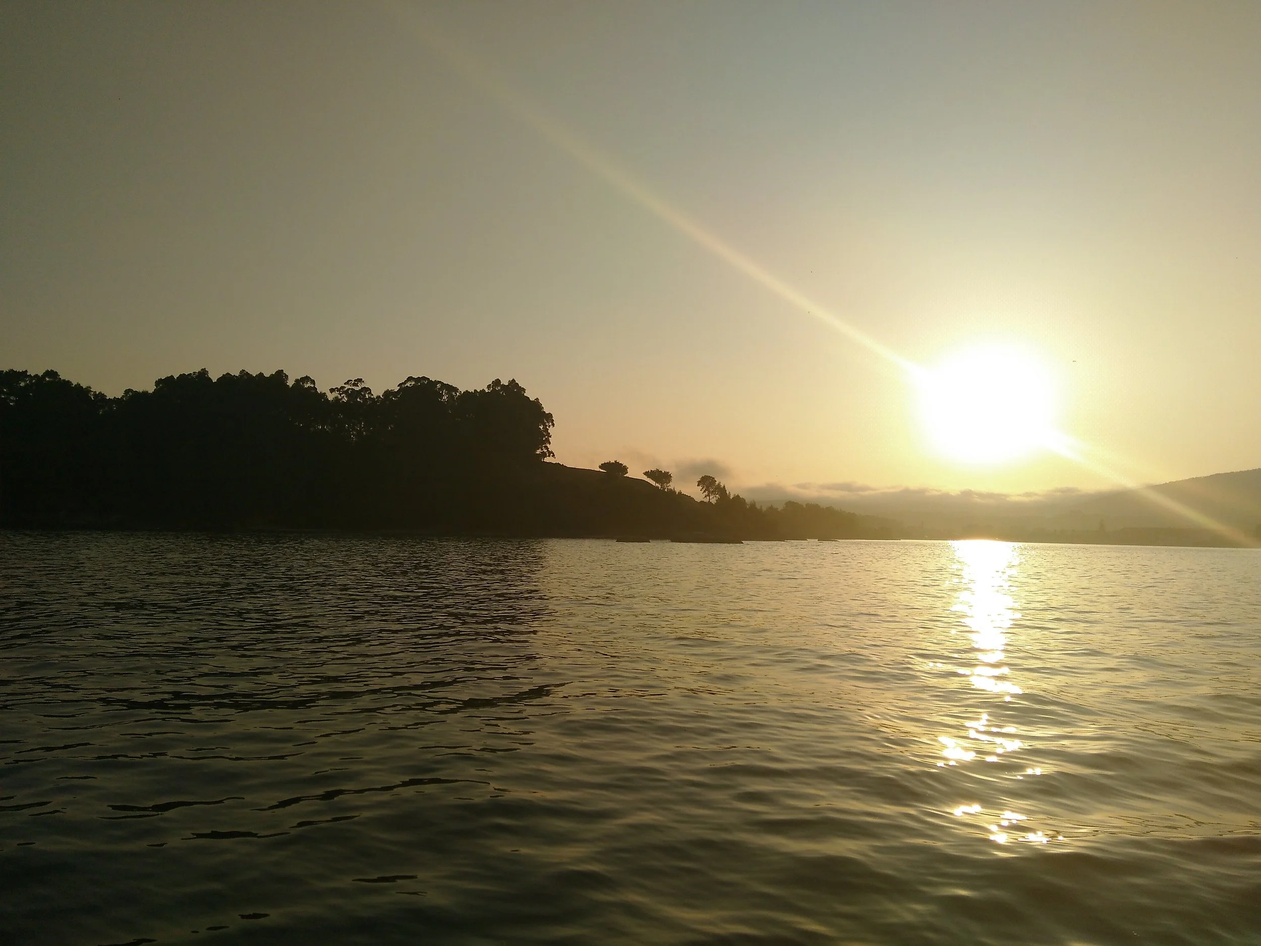 IMG_20210827_203330.jpg