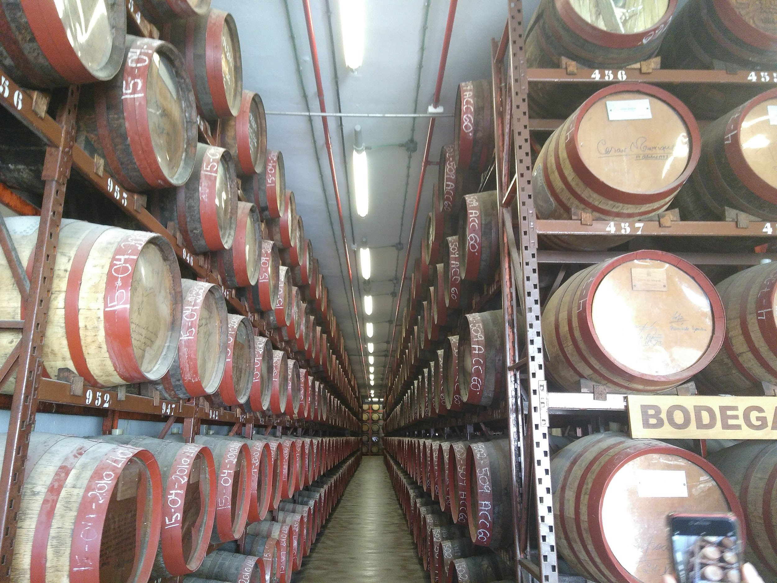 Nobreux tonneaux de Rhum Arehucas. Distillerie. Gran Canaria.