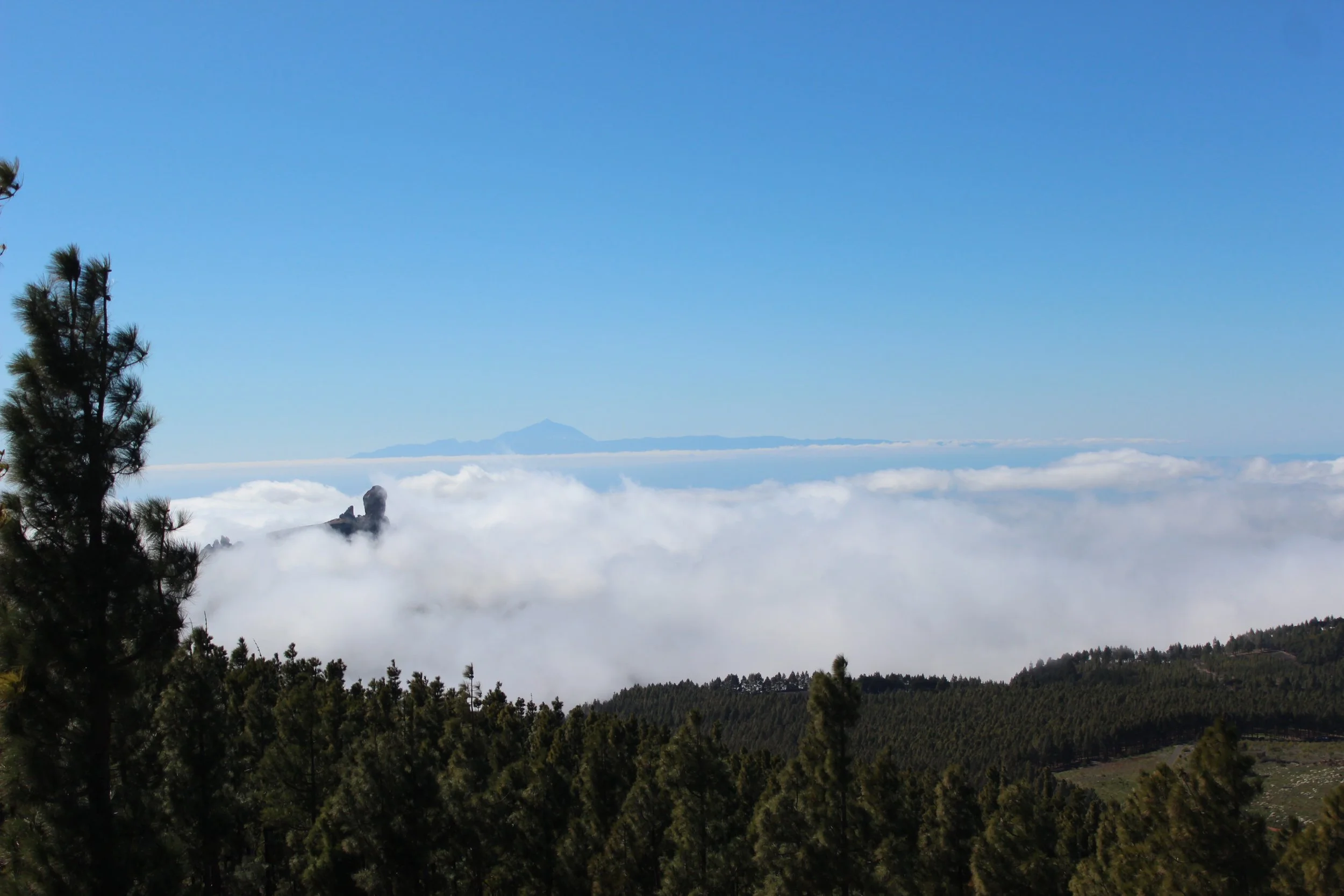 Vue sur le Roque Nublo et le Teide au dessus des nuages. Gran Canaria.