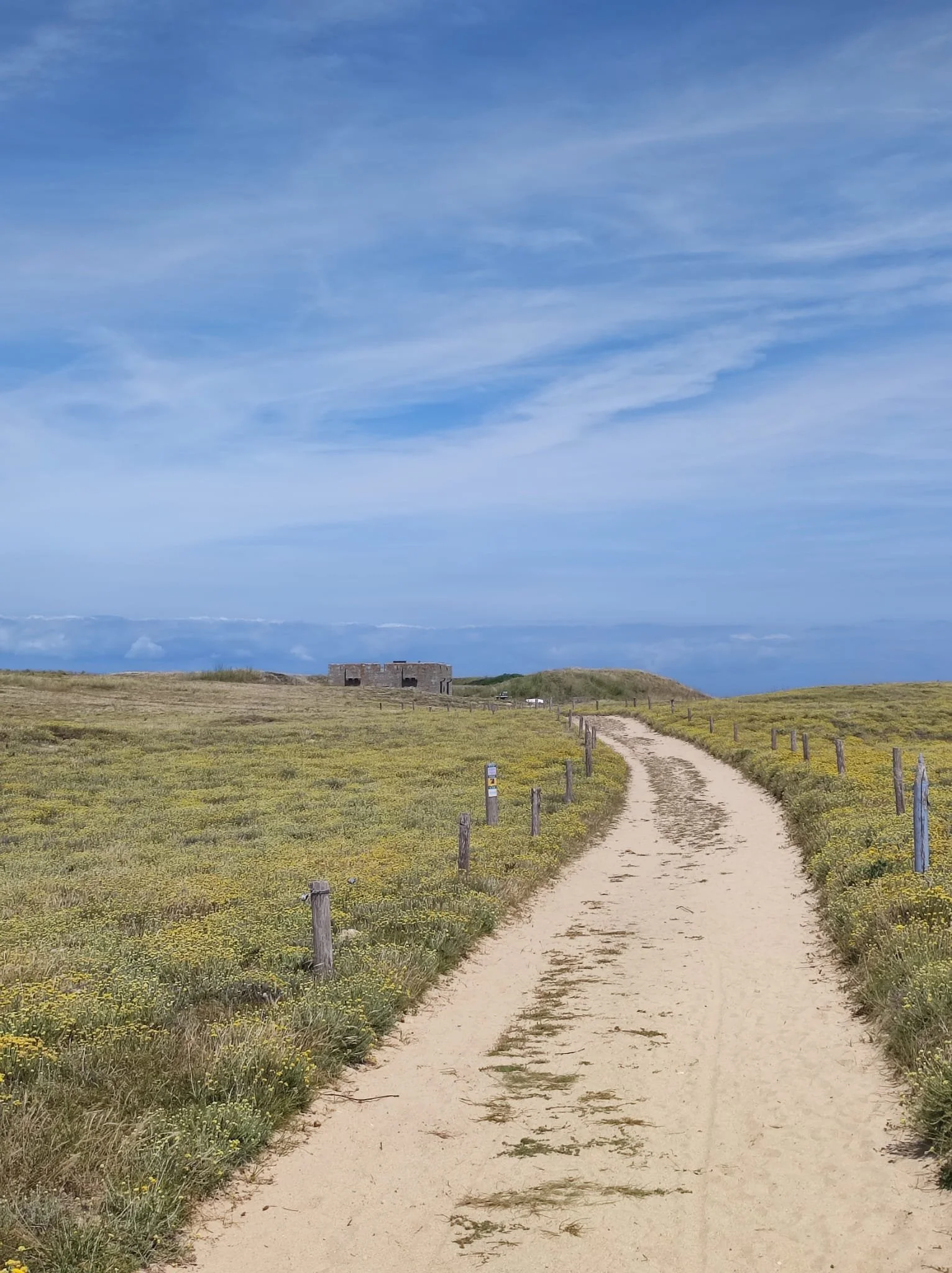 Chemin île d'houat, vacances nature
