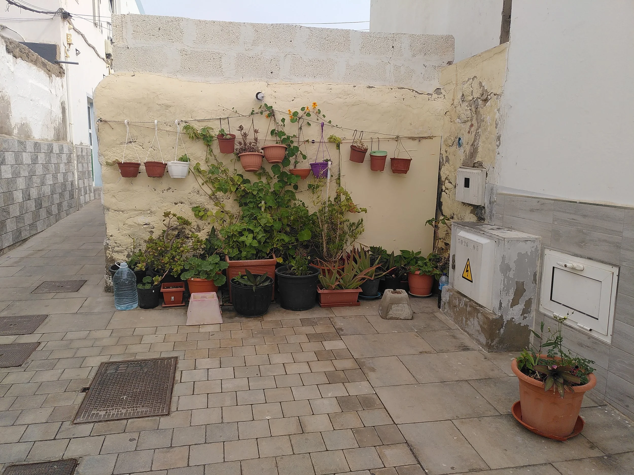 Mur fleuri dans une ruelle. Slow life. Îles canaries