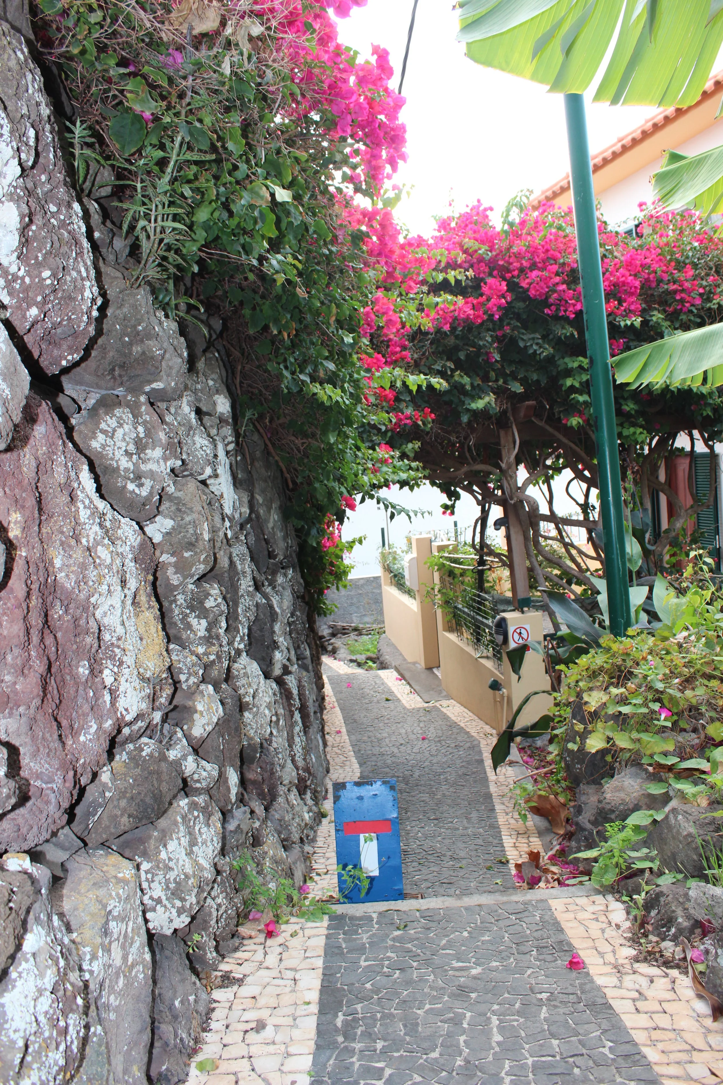 Ruelles pavées portugaise à Jardim do Mar, Madère, Idéal Slow Travel Europe
