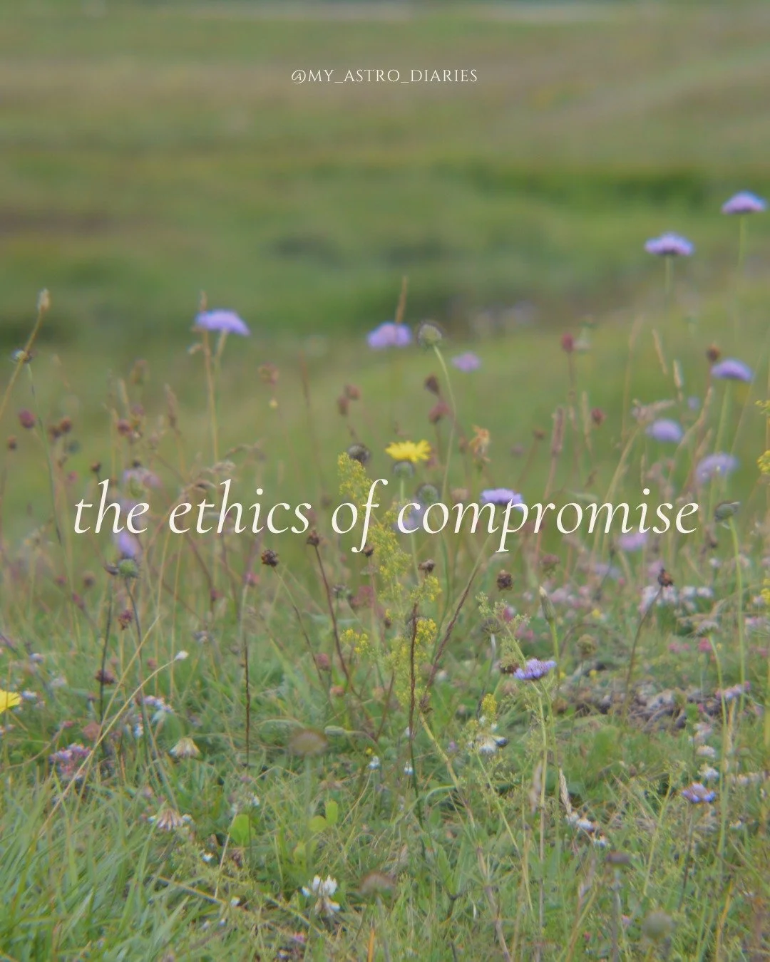 How do we know when compromise strengthens connection and when it asks us to sacrifice our principles? Let's explore the balance between peace, ethics, and self-respect together during peak Libra season. :) x

book a reading -&gt; myastrodiary.com

#