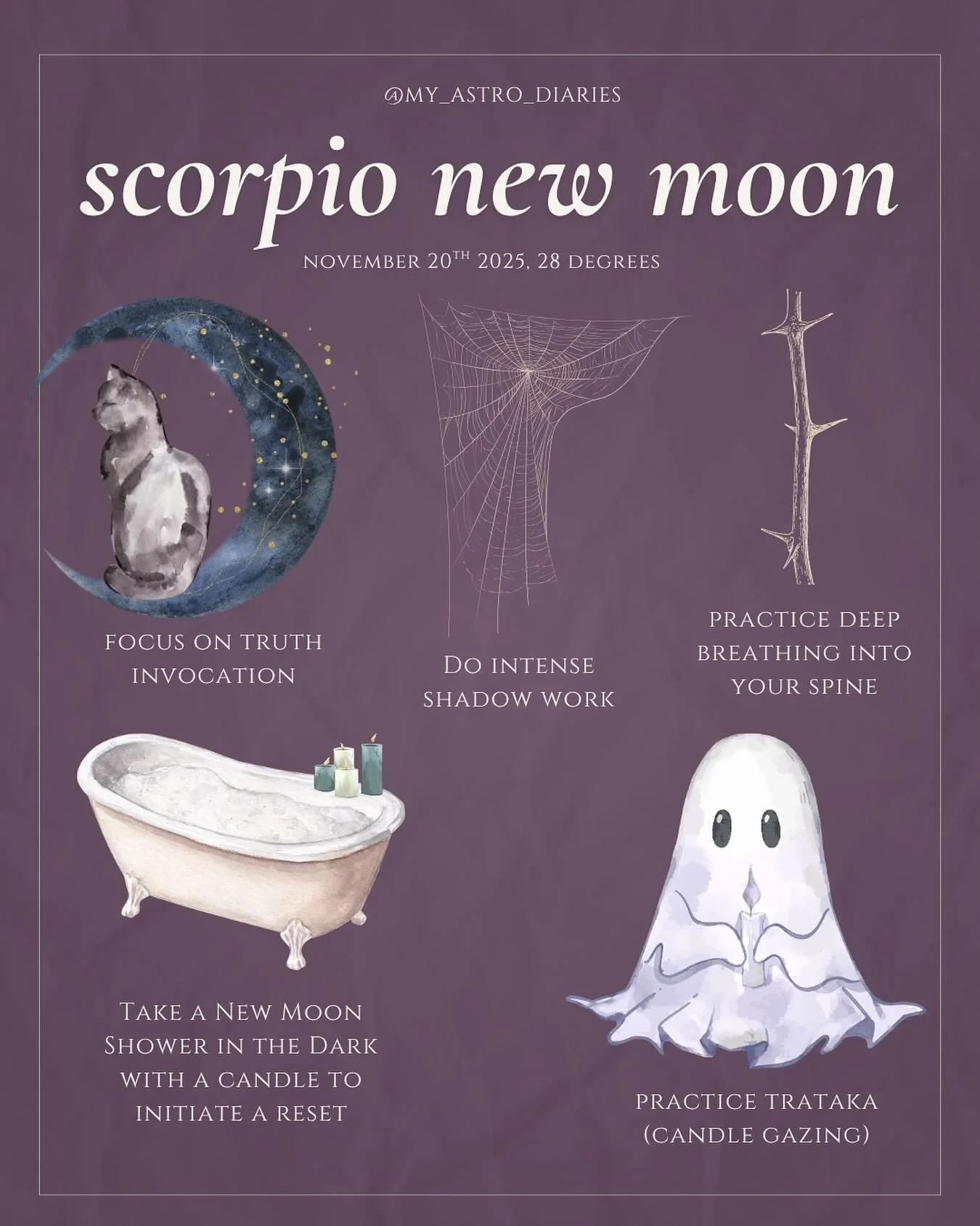 New Moon in Scorpio rituals 🌑🦂✨

#myastrodiaries #astrology