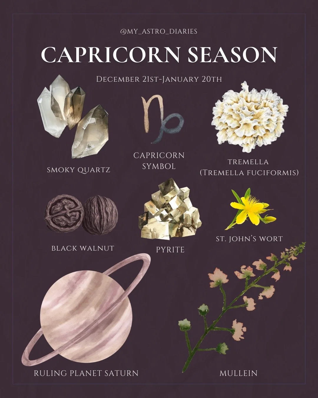 Welcome to Capricorn season, the quiet, steady turning of the year when we trade sparkle for substance and start building what we actually want to last. This is the season of intention with backbone. Of showing up. Doing the work, even when no one&rs