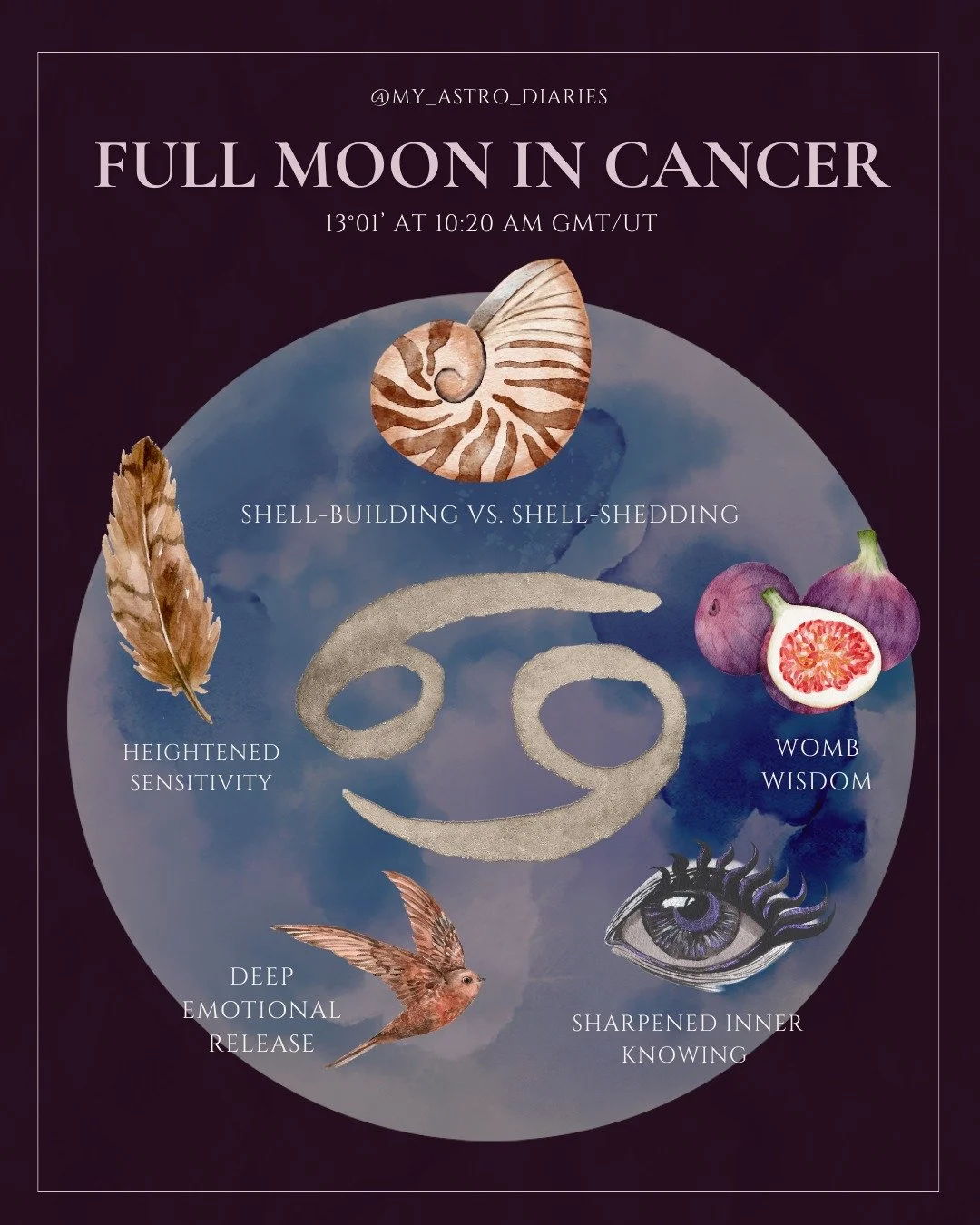 🌕 Full Moon in Cancer ♋

Cancer&rsquo;s lunar nature turns our attention inward, toward home in all its forms: the physical spaces that shelter us, the people who feel like family, and the inner sanctuary we carry within. Nostalgia may surface, alon