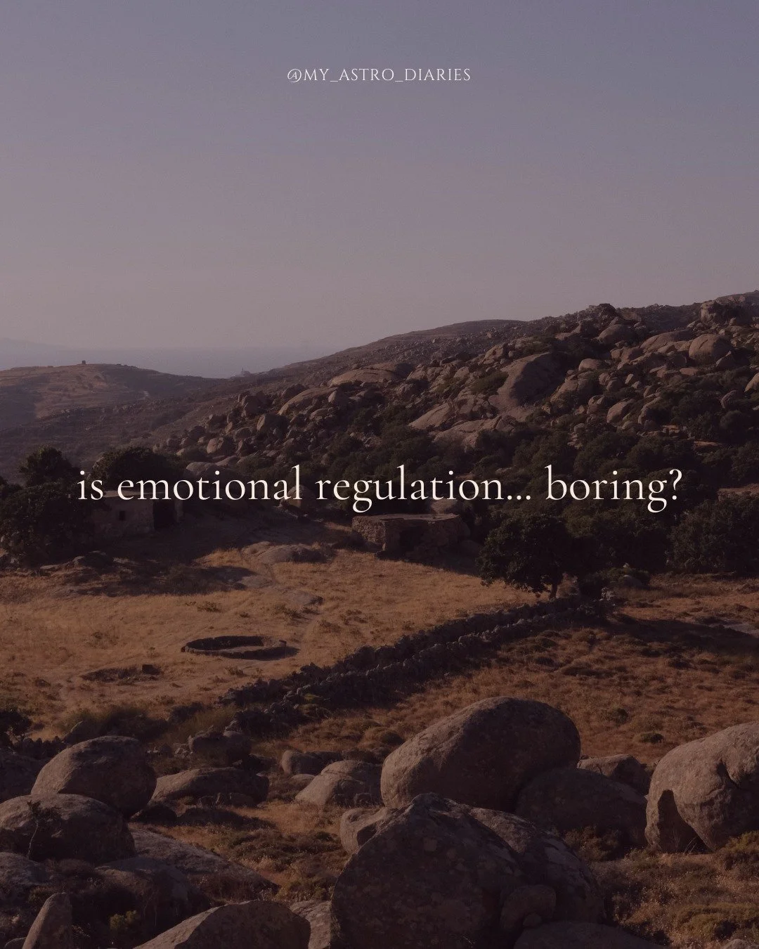 Here's the thing nobody tells you about emotional regulation.

Emotional regulation does not arrive with fireworks. There&rsquo;s no before-and-after photo that makes sense on Instagram (this is something I was subtly asking my therapist 6 years ago)