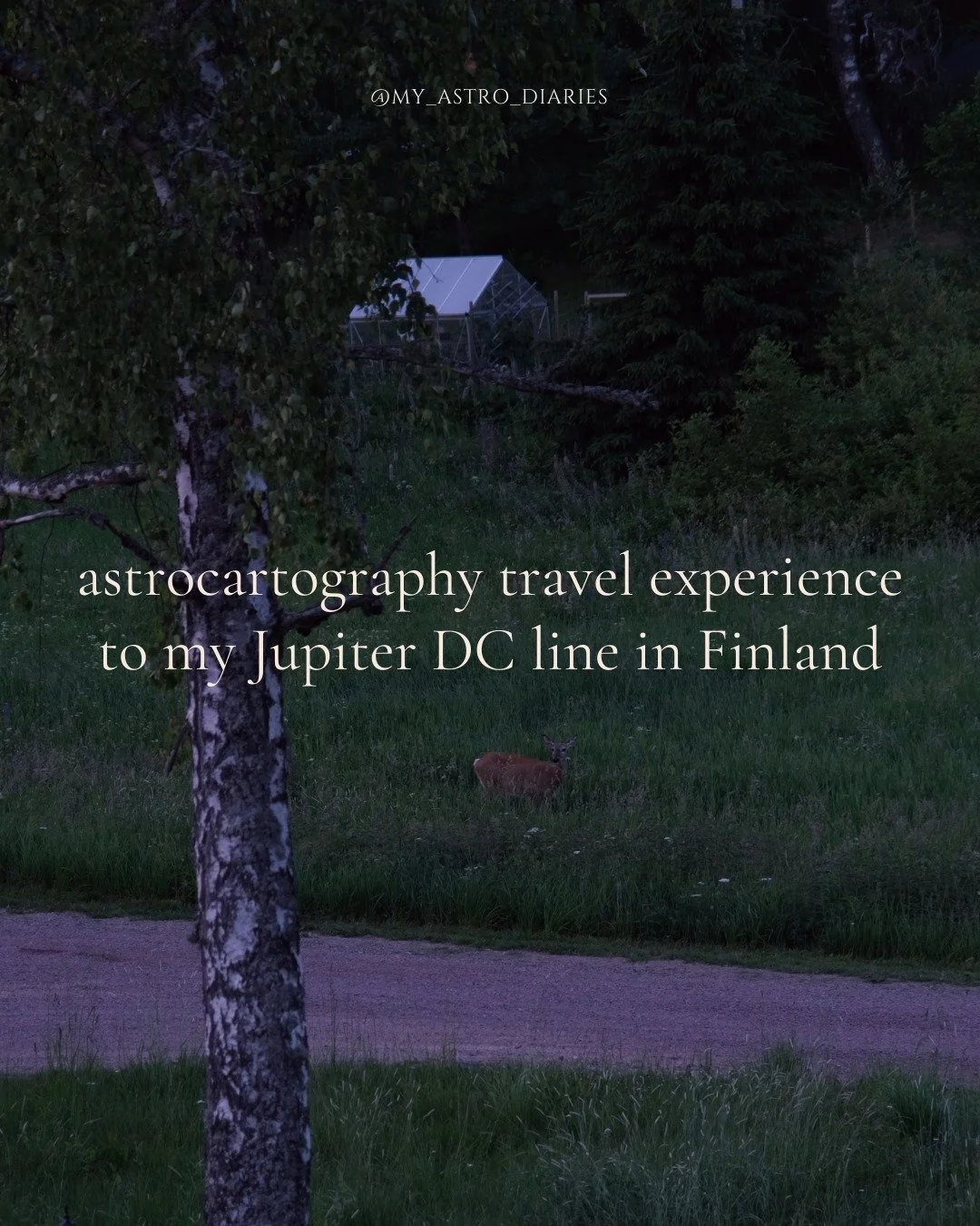 Is it odd that a trip I took almost two years ago still feels so present to me?

I suppose that&rsquo;s the impression my Jupiter line on the Descendant angle left on me in divine Finland.

Read how + why at myastrodiaries.substack.com/p/jupiter-dc-l