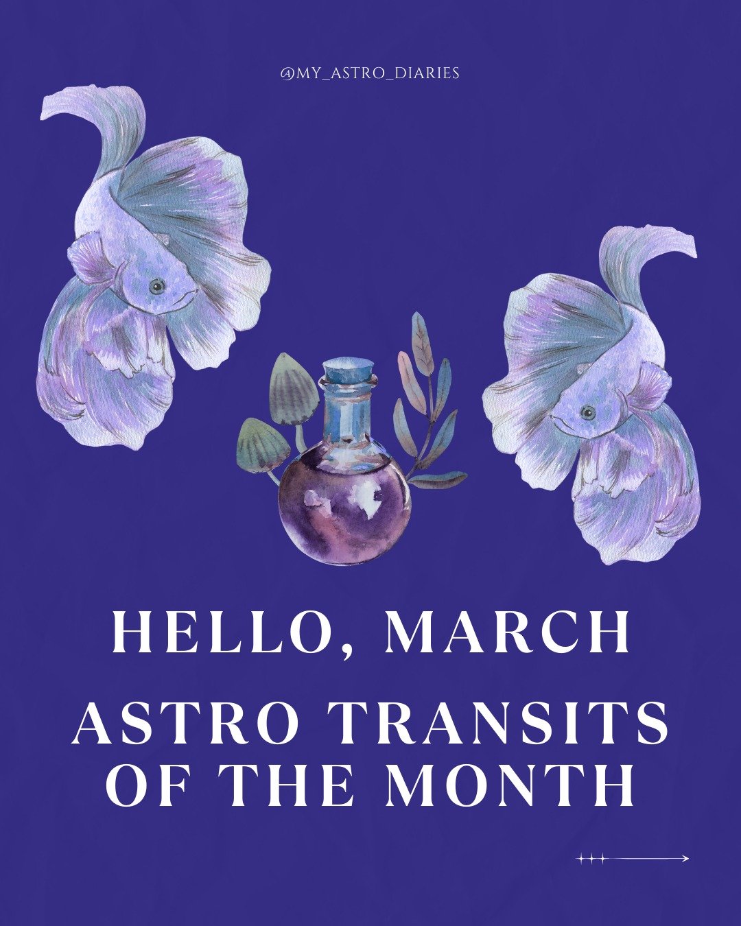 As the final sign of the zodiac, Pisces encourages reflection, emotional release, and the closing of unfinished chapters. The early weeks may feel introspective, with intuition heightened and boundaries softened. It&rsquo;s a time to notice what no l