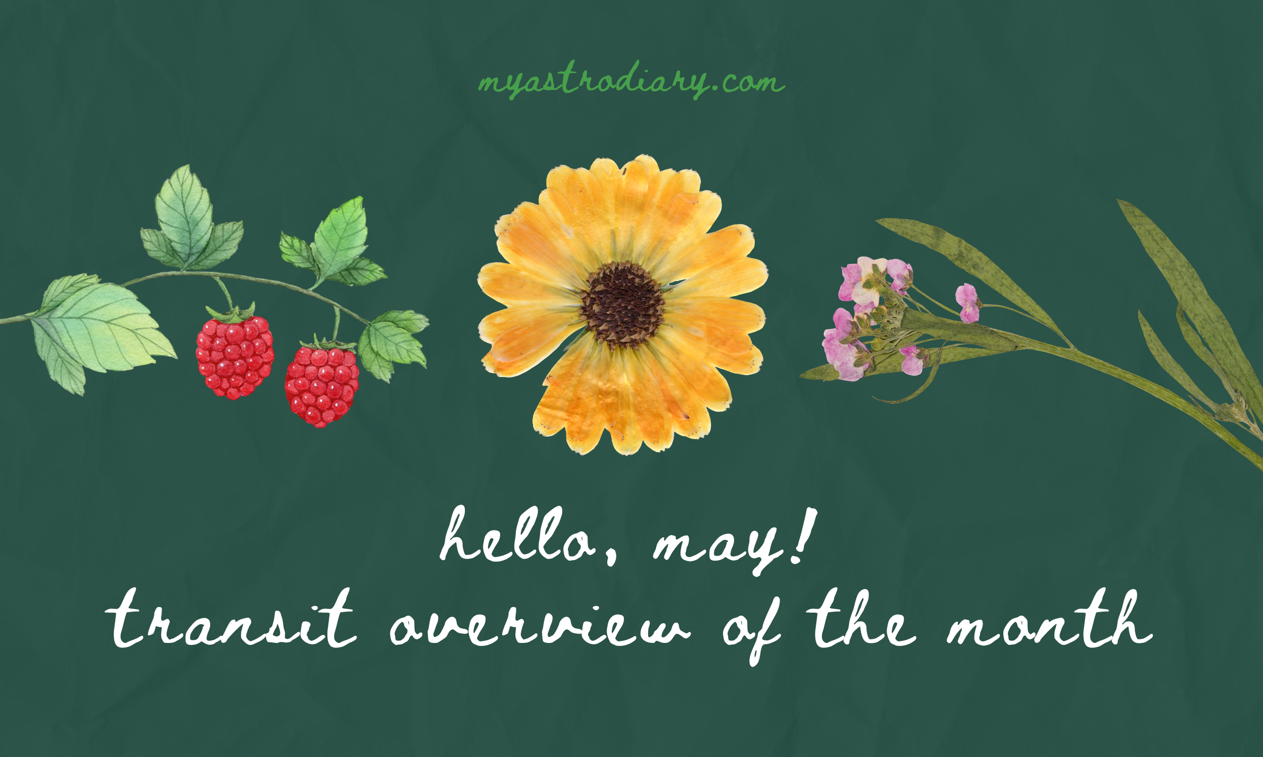 May Astrology Forecast 2026