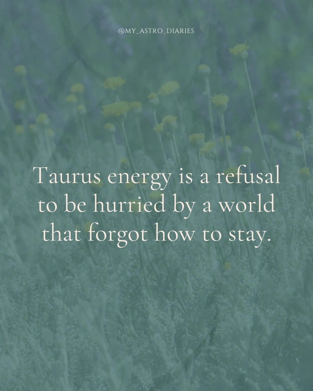 All about those true, genuine Venusian values on a Venus day <3 

#VenusInAstrology #TaurusSeason #MyAstroDiaries