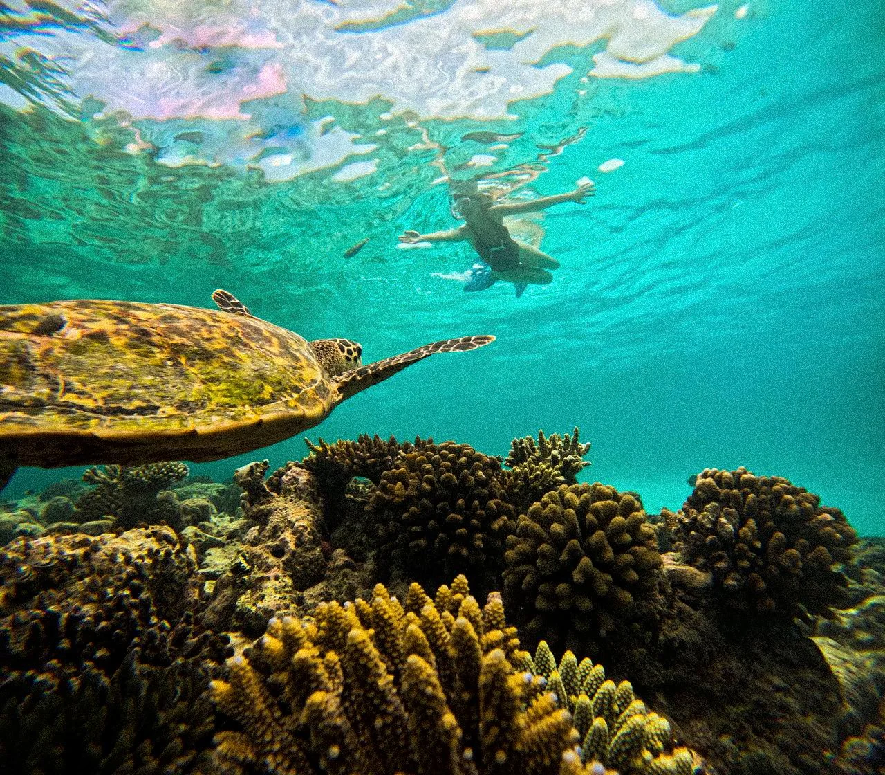 Locational astrologer Ang Kay