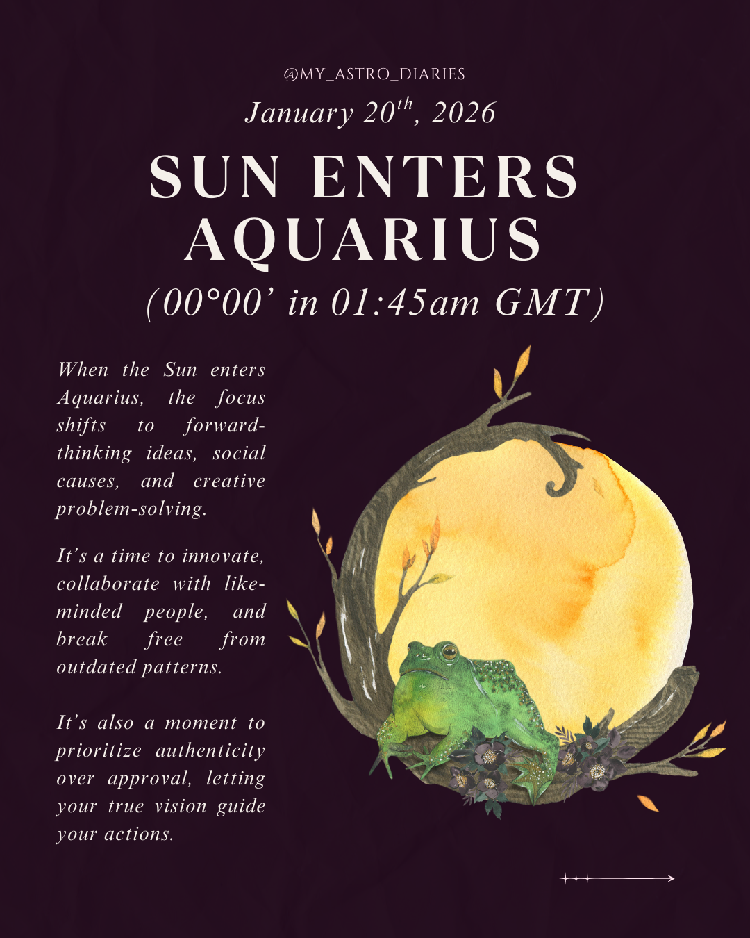 Sun in Aquarius 2026 Astrology