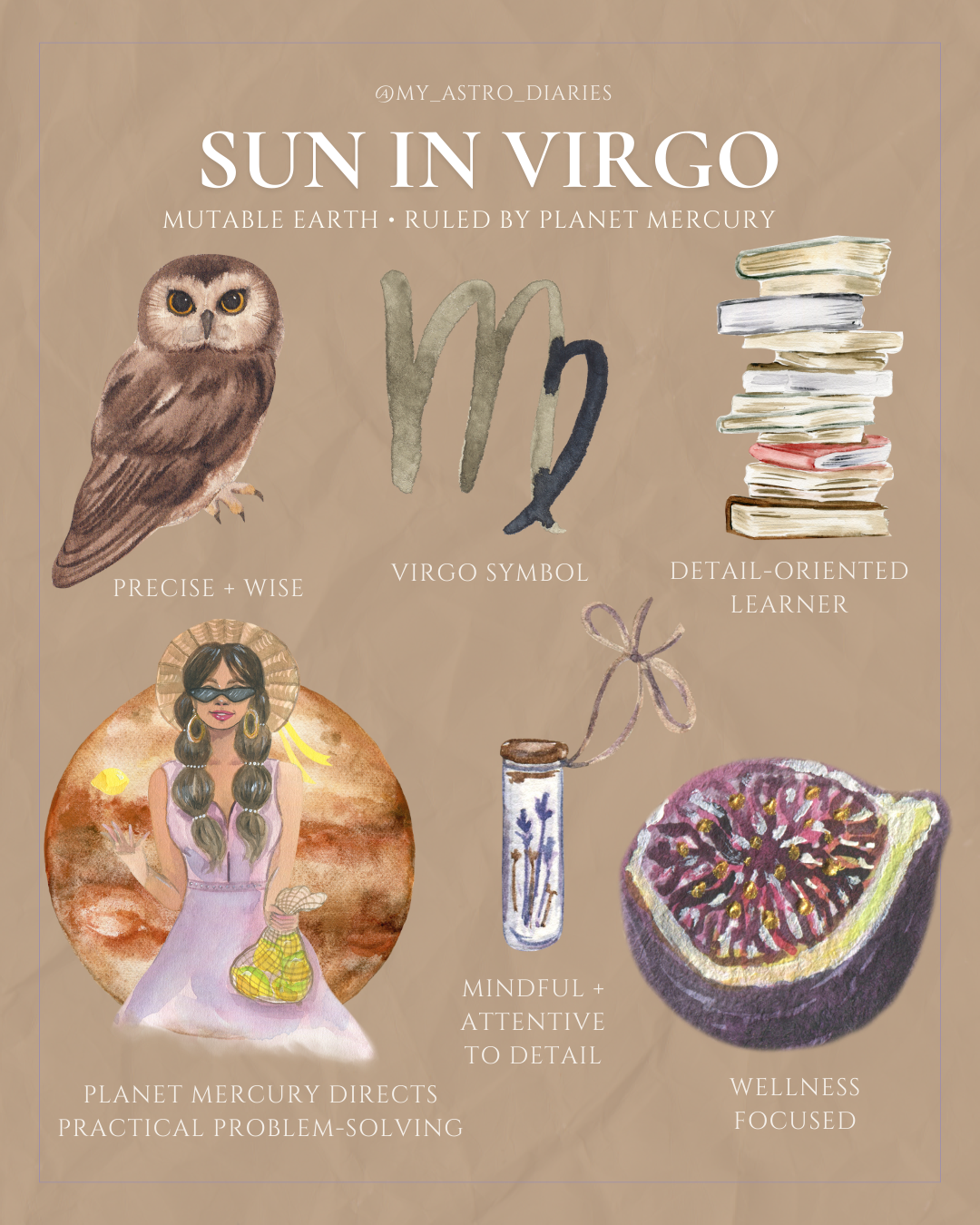 Sun in Virgo Astrology