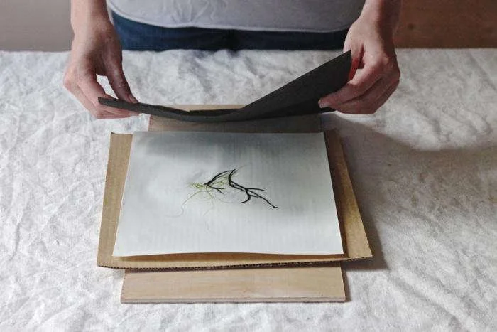 DIY seaweed prints, step 4.jpg