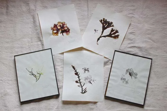 Art in the Afternoon