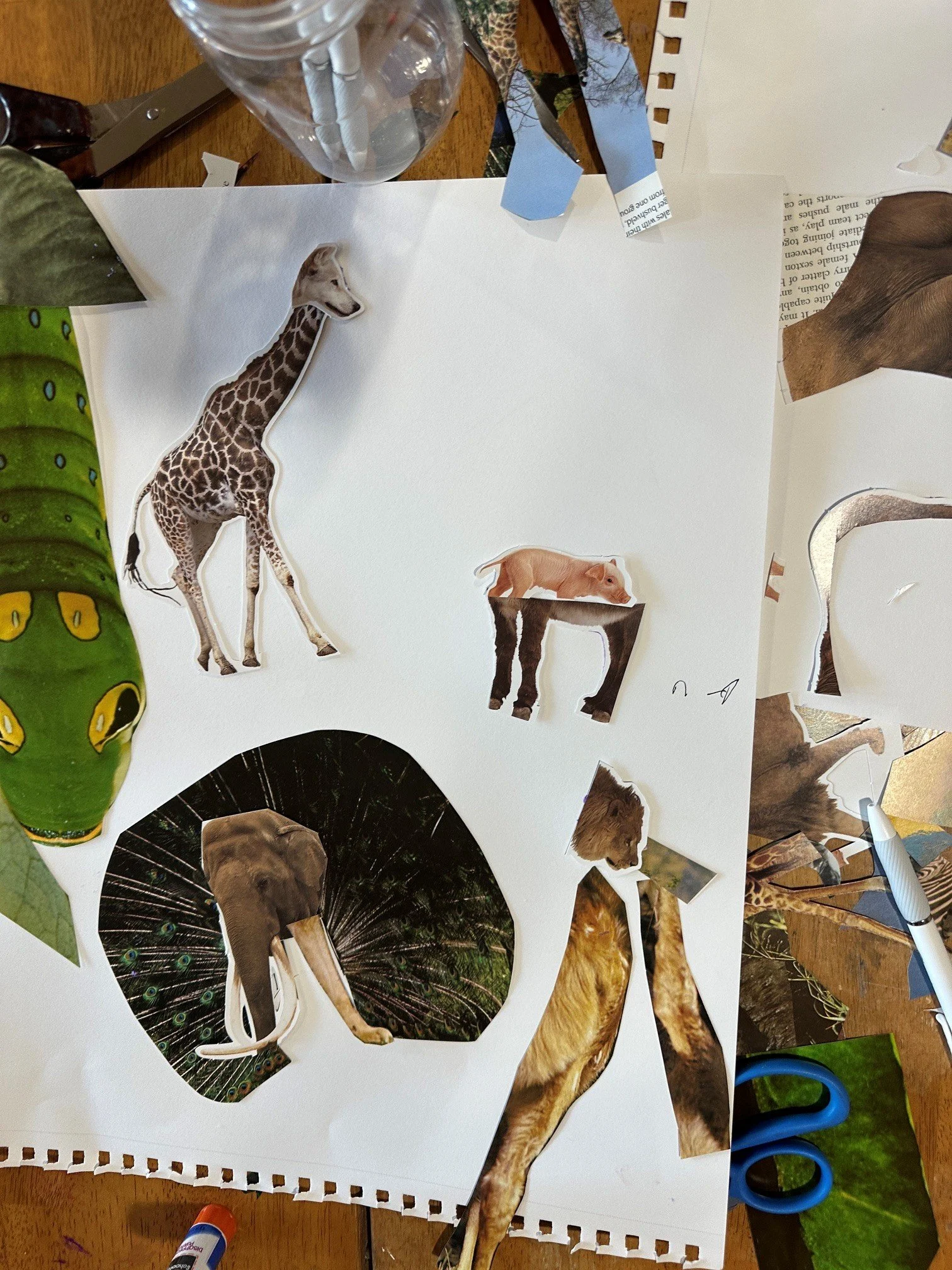 kid collage.jpg