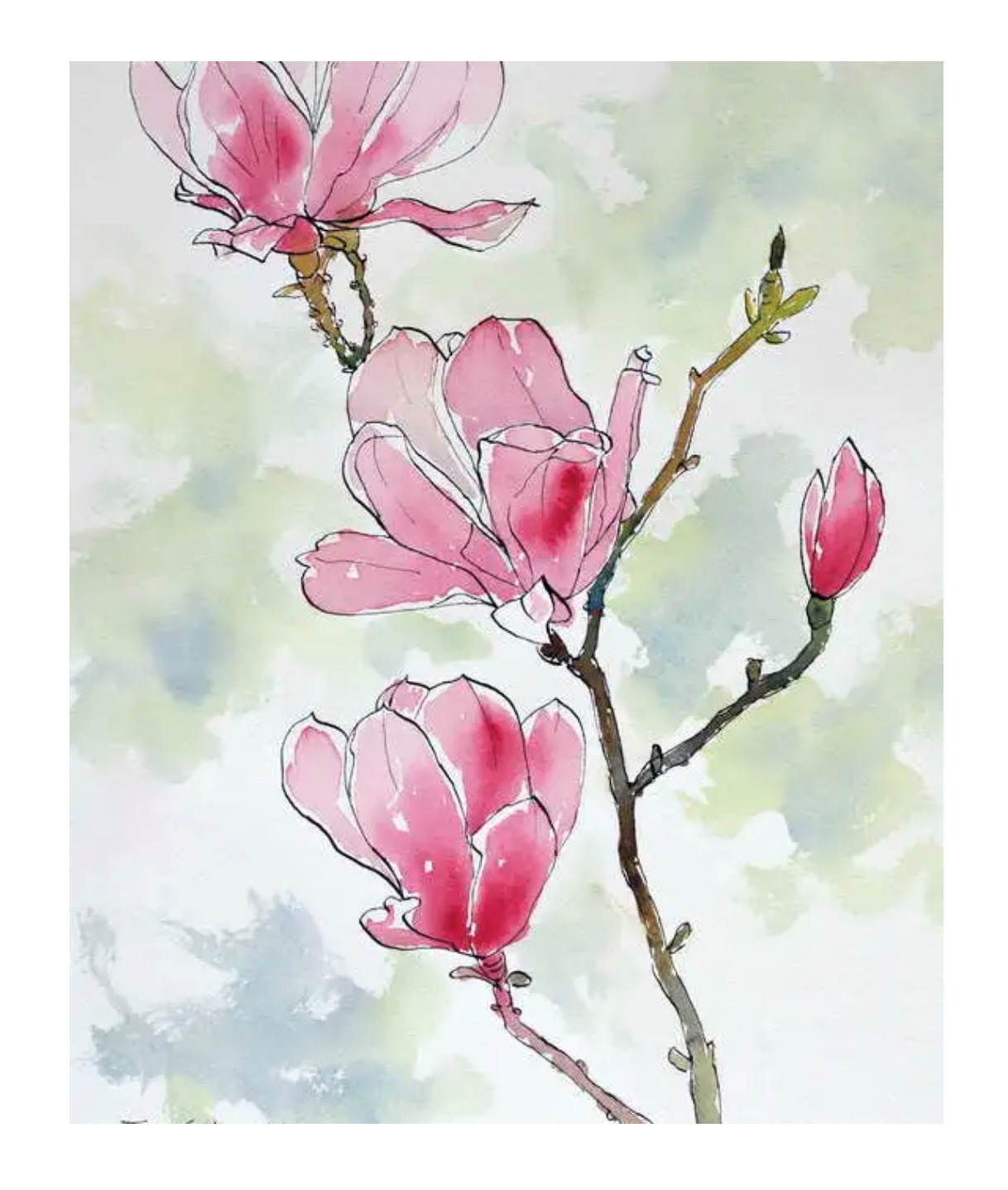 Sarah adult watercolour.png