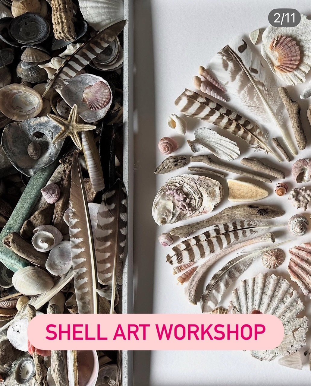shell and feather.jpg