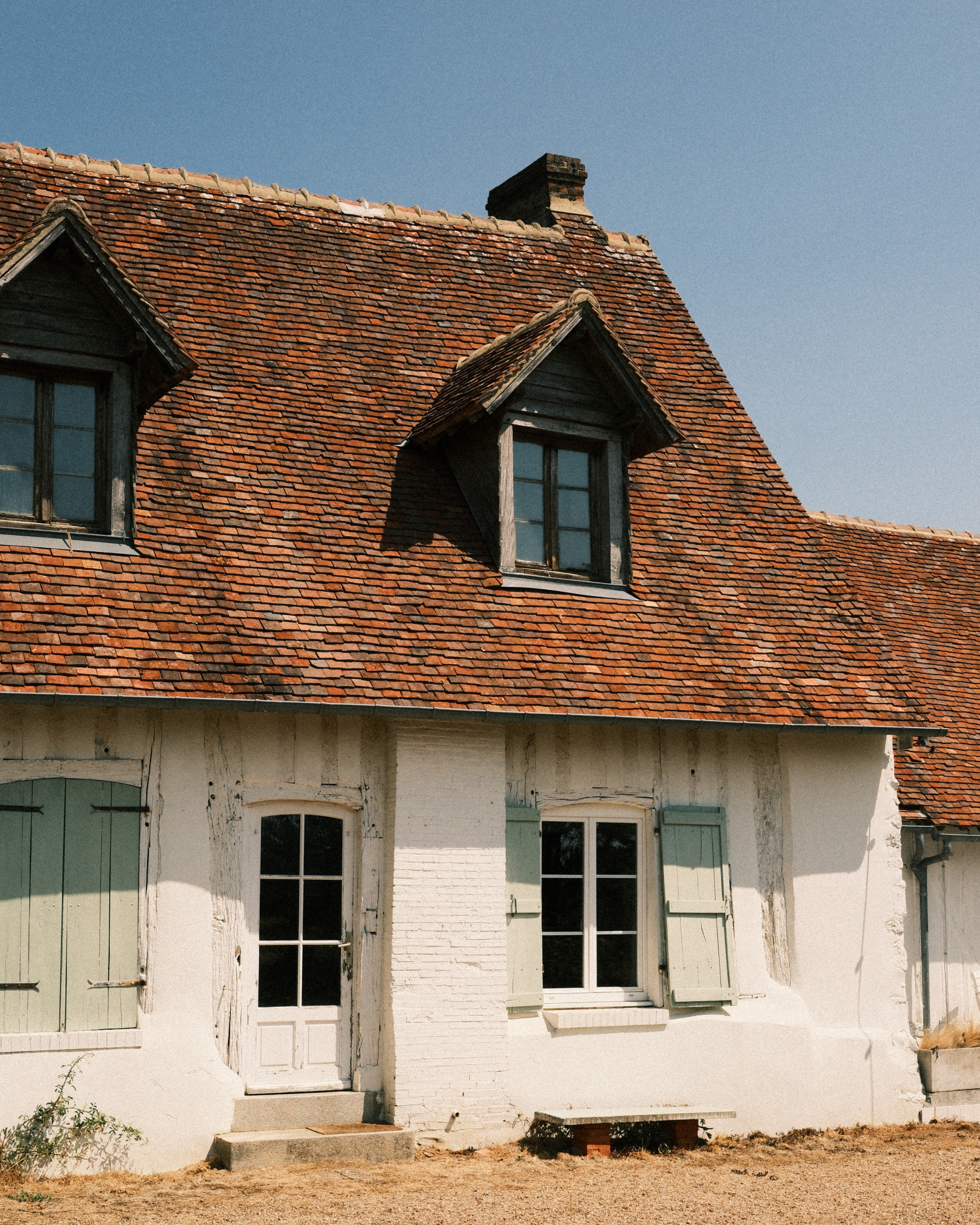 Issue 11: A Season for Home