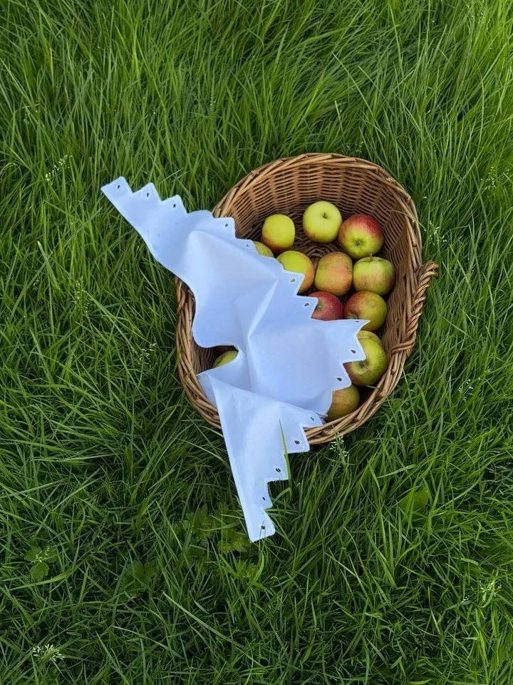 First harvest of the season. A little basket full of early autumn.