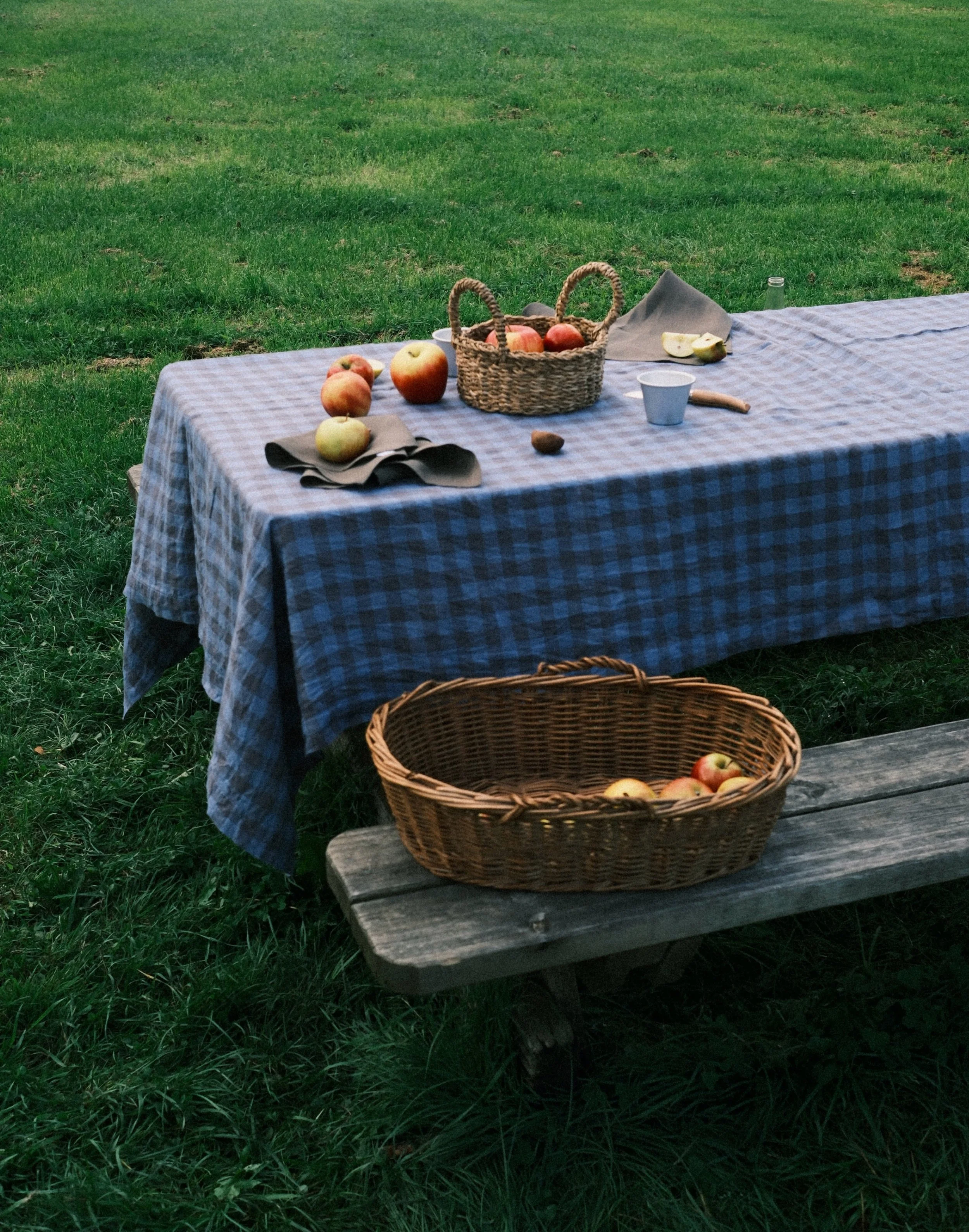 Settling into autumn routines, with fresh air and a few lingering days of warmth and sun.
