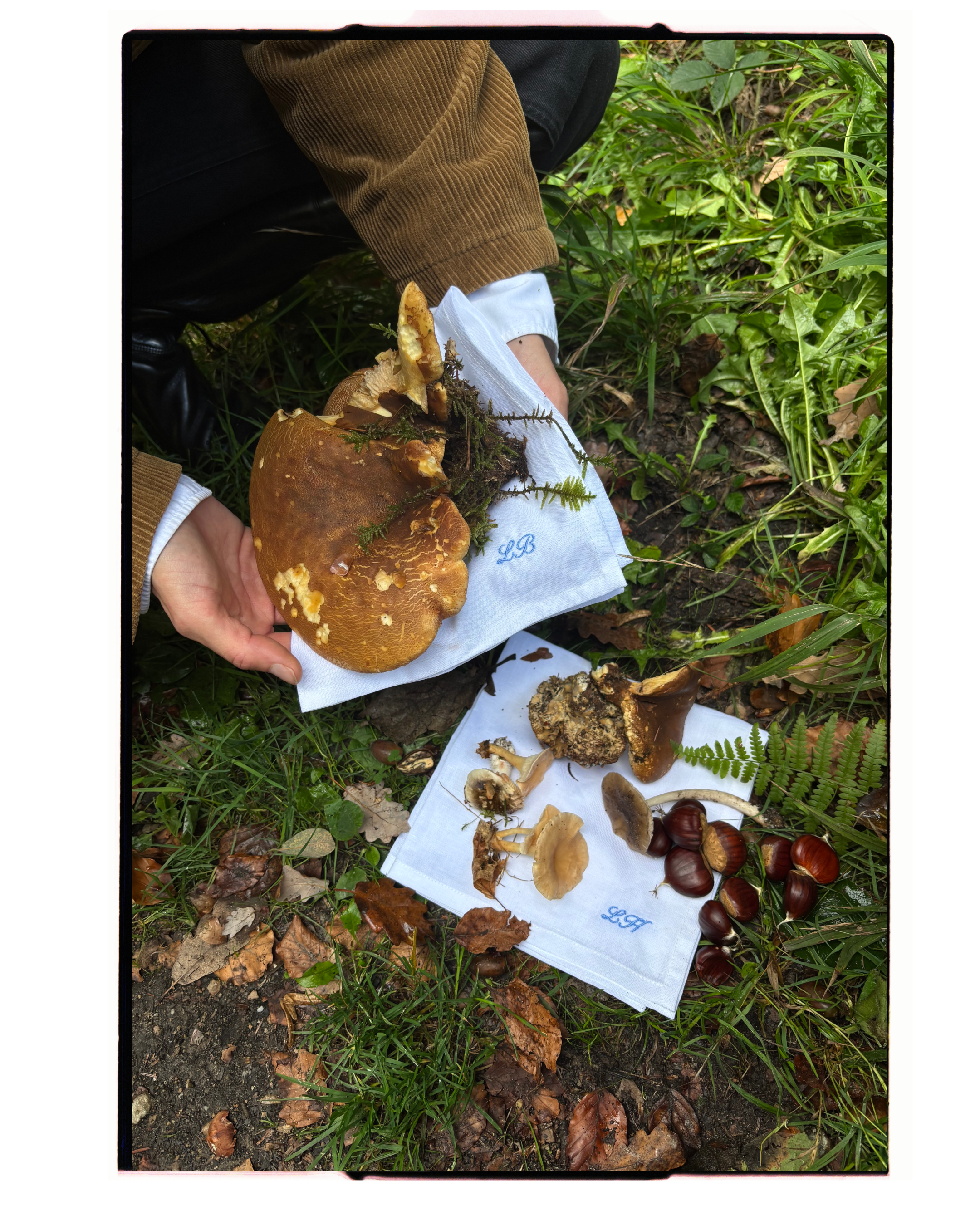 oury-home-les-hirondelles-foraged-mushrooms-chestnuts-monogrammed-napkins.png