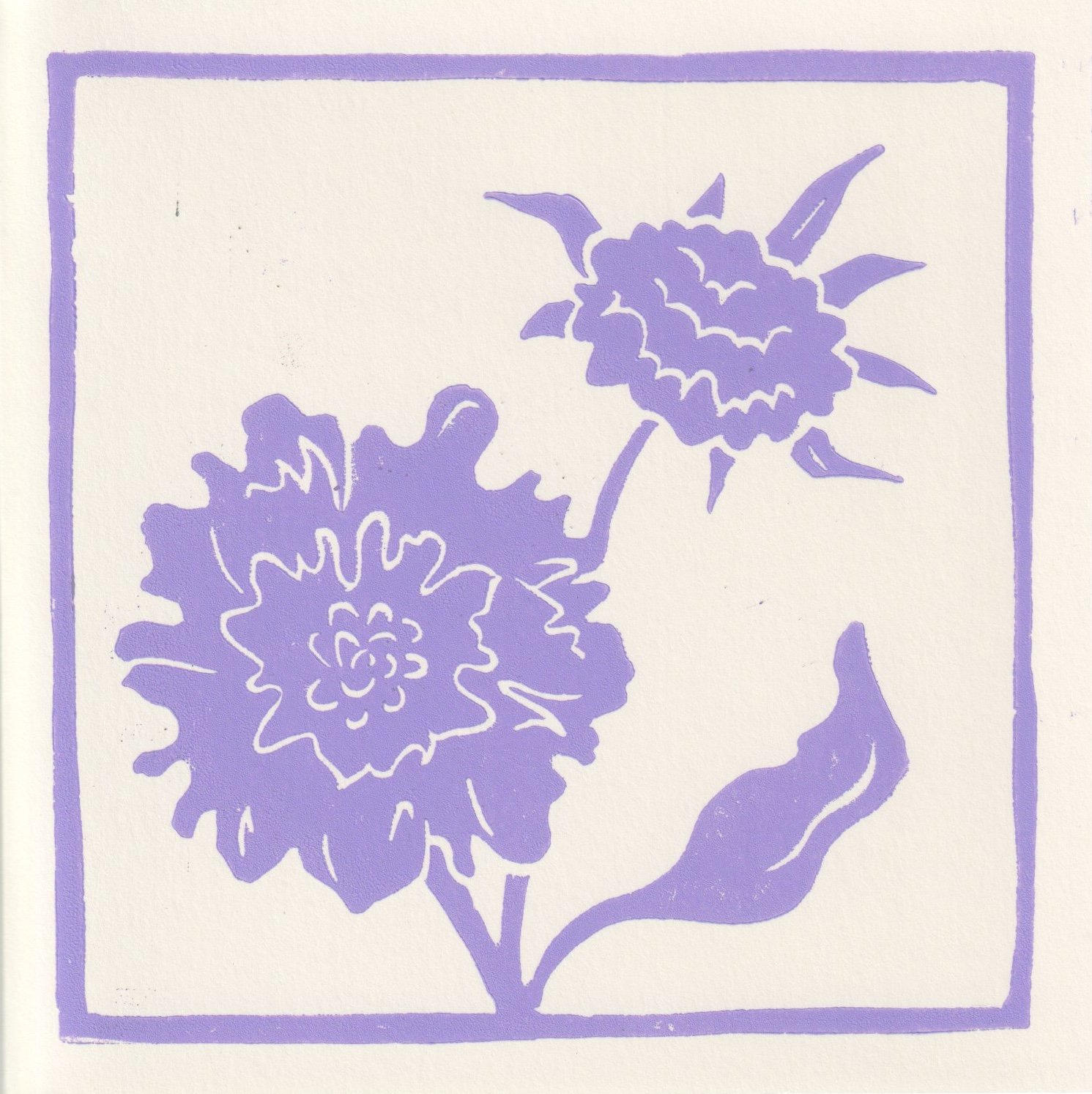 lucy-forde-art-card-scabiosa-lilac-1-small.jpg