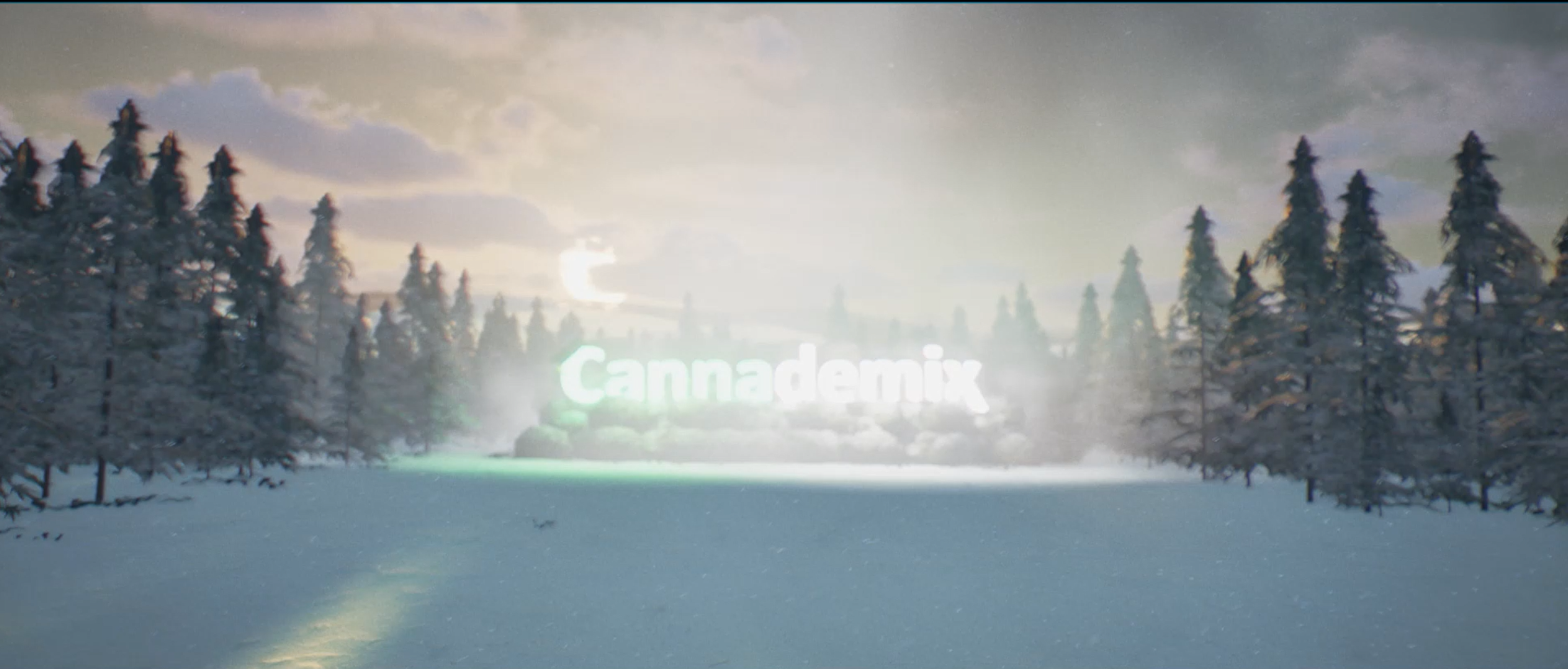 Budtenders Ball Visuals 2025