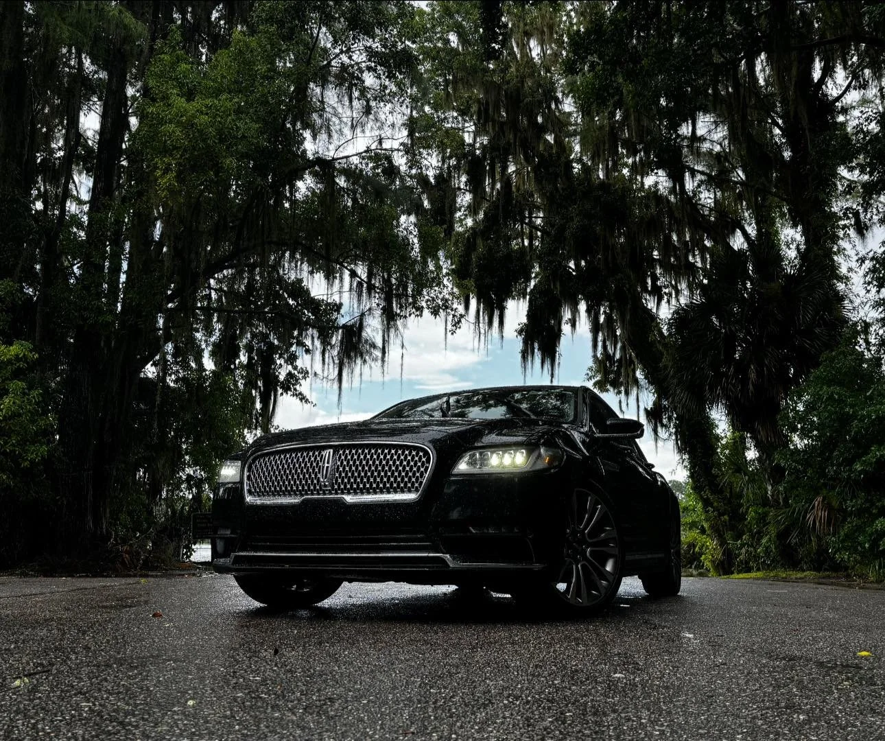 Black luxury sedan parked on wet road surrounded by tall trees with Spanish moss hanging from branches, overcast sky in background.