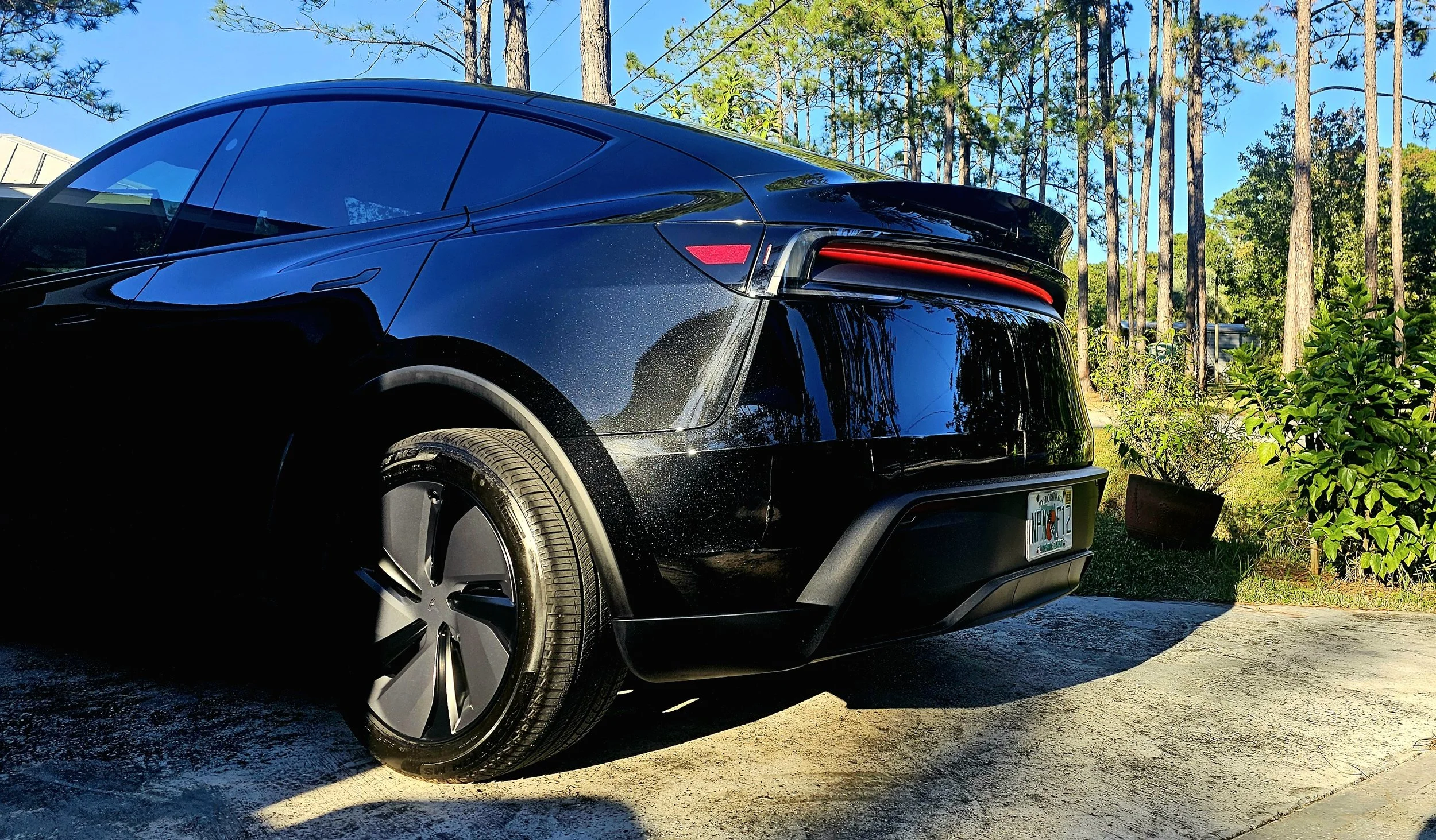 Rear view of a sleek black electric vehicle with aerodynamic wheels parked on a driveway, surrounded by trees and greenery, under a clear blue sky.
