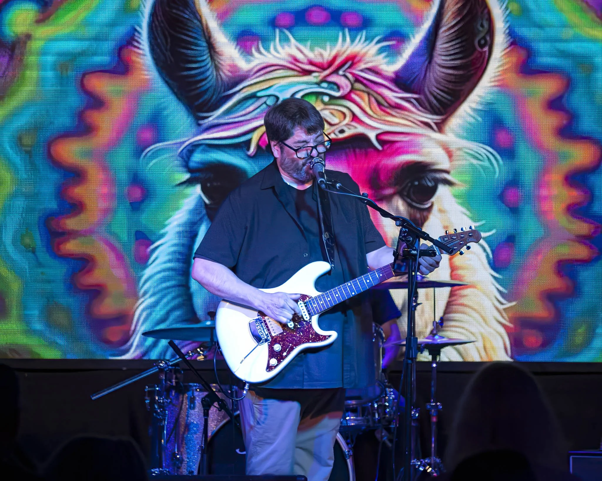 Band of Llamas at The Village 8-15-25