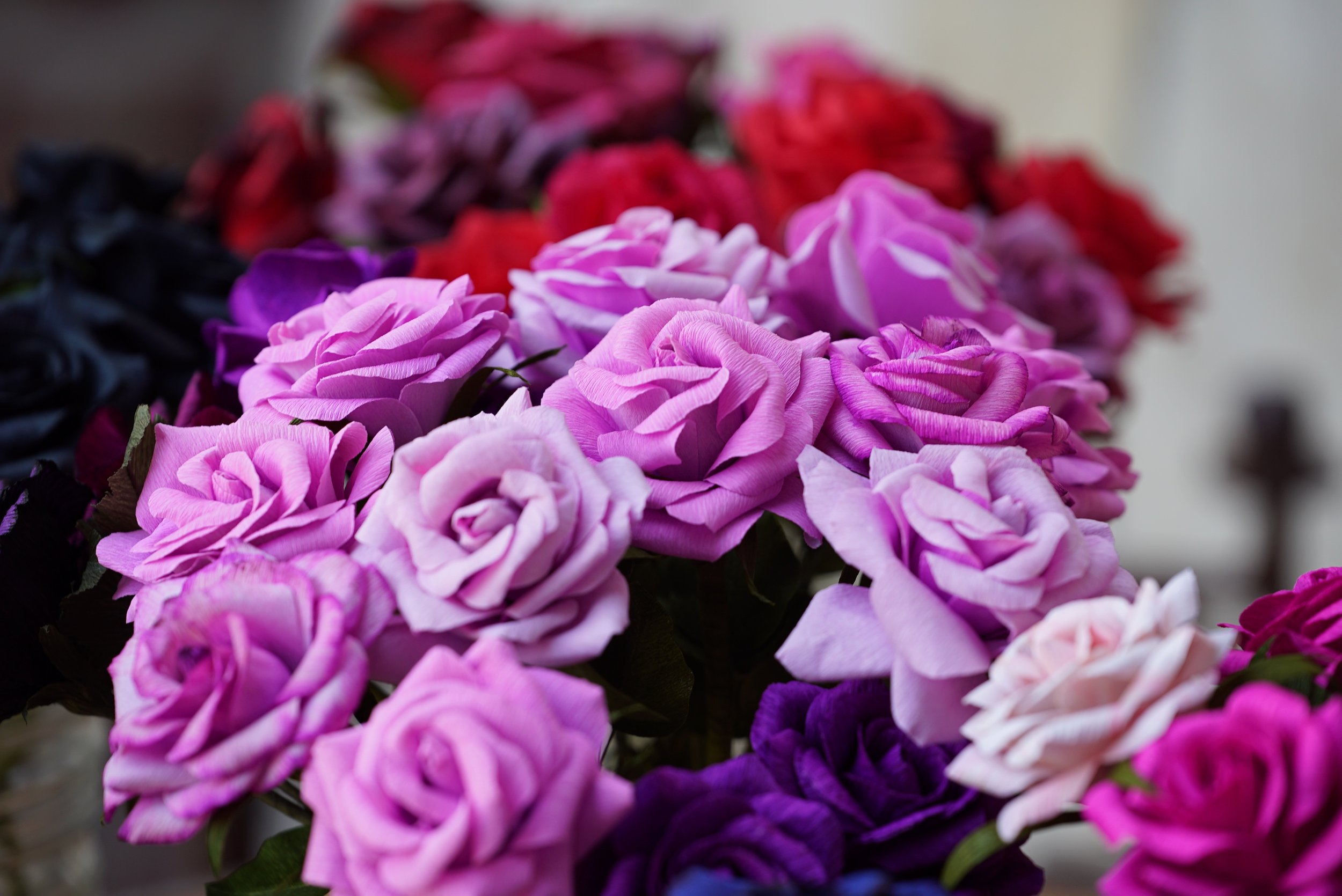 Roses