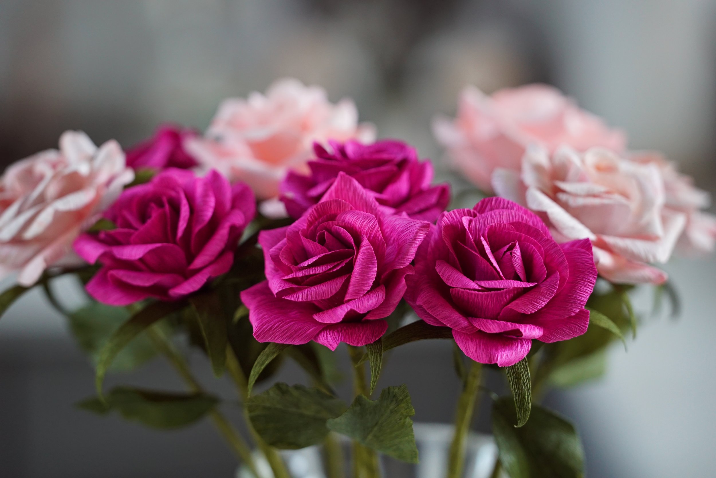 PINK ROSES 2 GROUP.jpeg