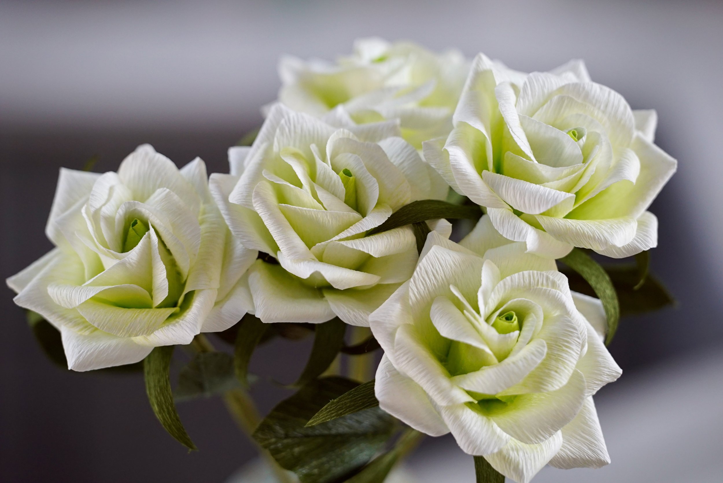 WHT GRN ROSES CLOSE.jpeg