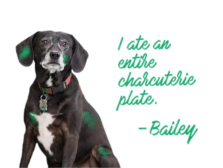 1Bailey.jpg